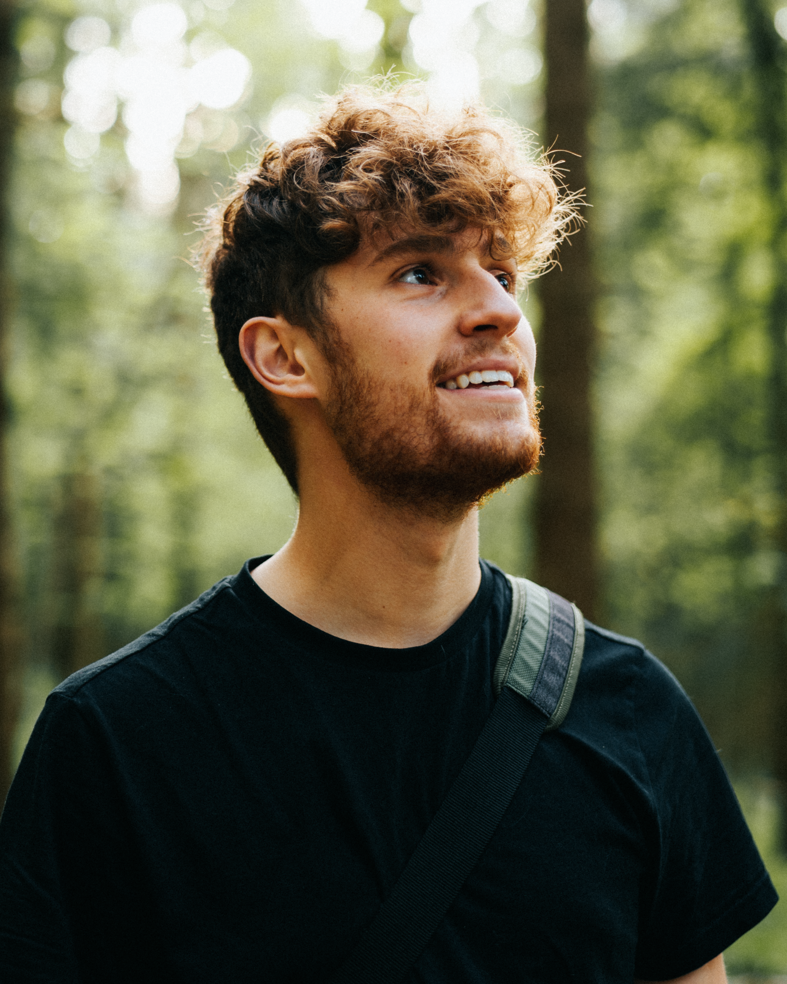 haz in woods-2.png