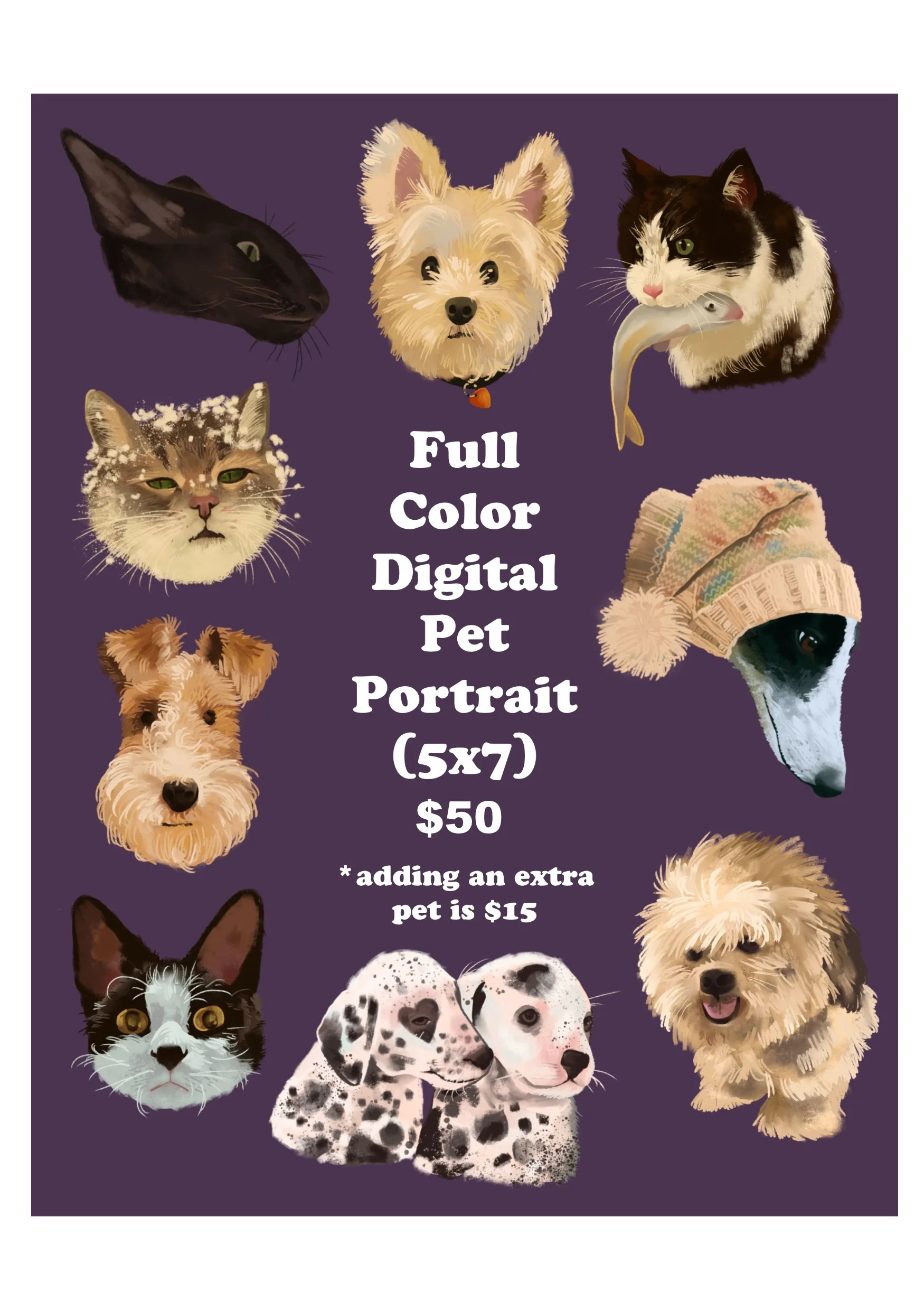 pet portrait commission sheet 