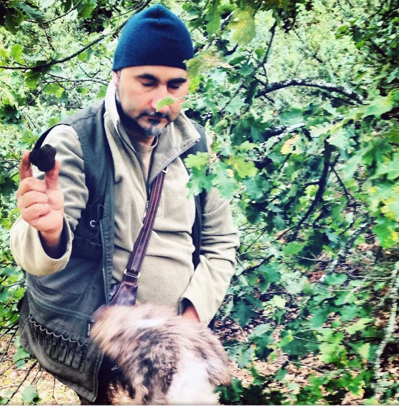 Truffles Abruzzo.jpg