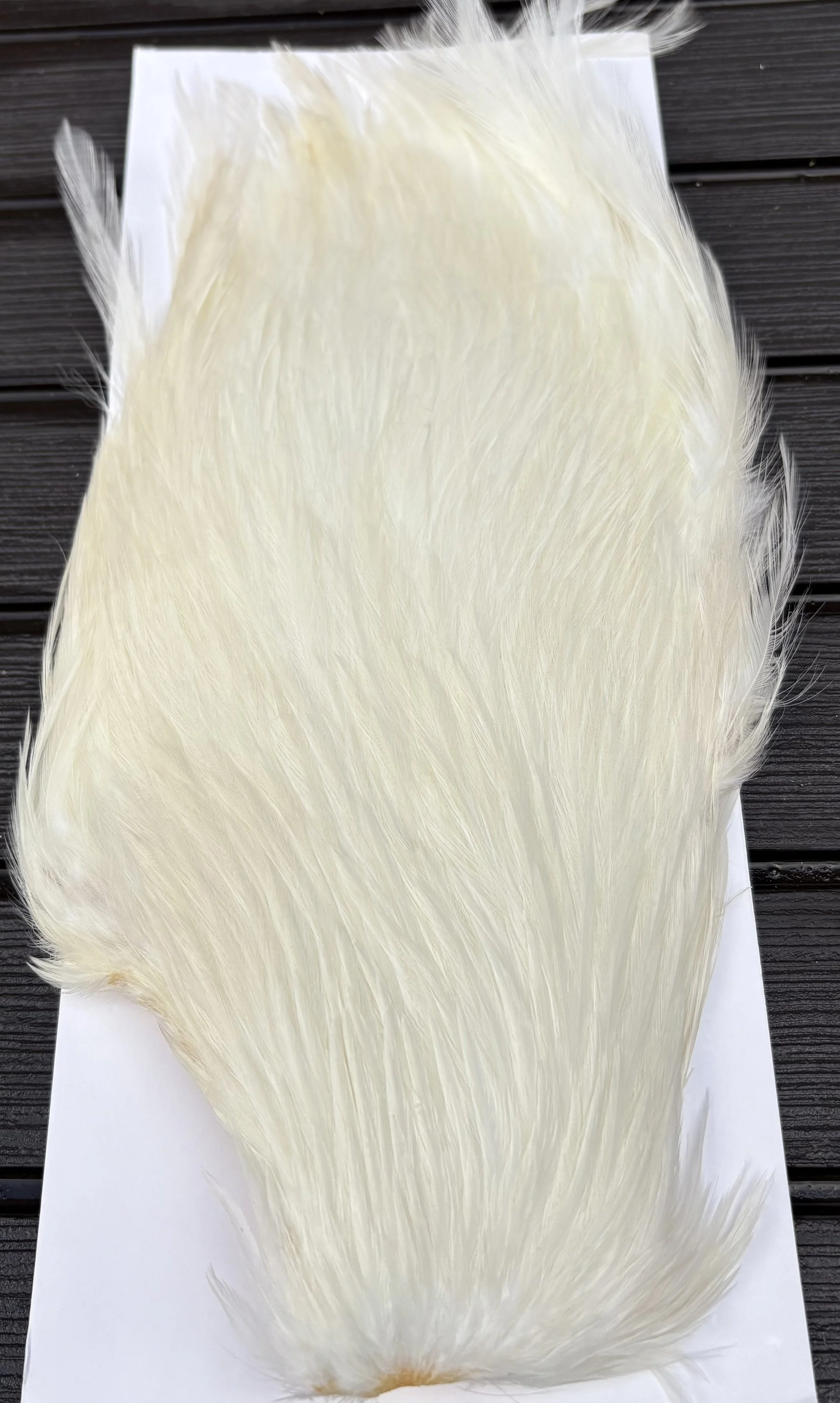 Wapsi Chinese Cock Capes