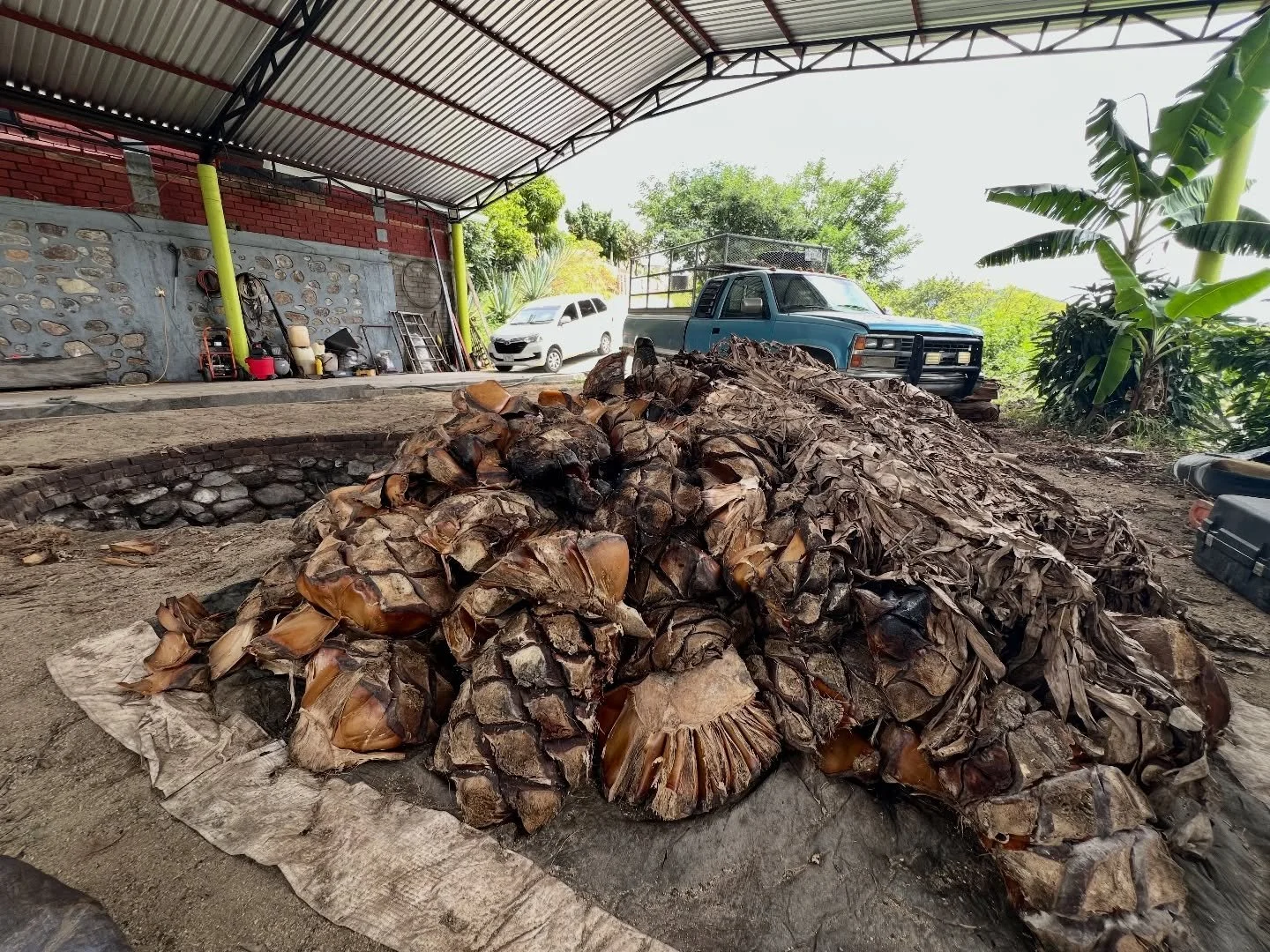 Jos&eacute; Alberto mills about half of the 6 tons of cooked agave at a time - that is the capacity of his fermenting pots. When the initial ferment and distill process is complete, he will return and mill the remainder of the agave, which is stacked