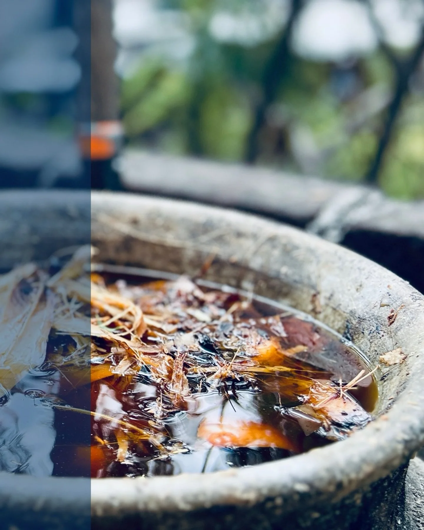 Journal entry - calendar year 2025 revenue share. Read more: https://www.creadorspirits.com/blog

#destiladodeagave
#agavespirits
#claypotfermentation 
#mezcalero 
#ancestralmezcal