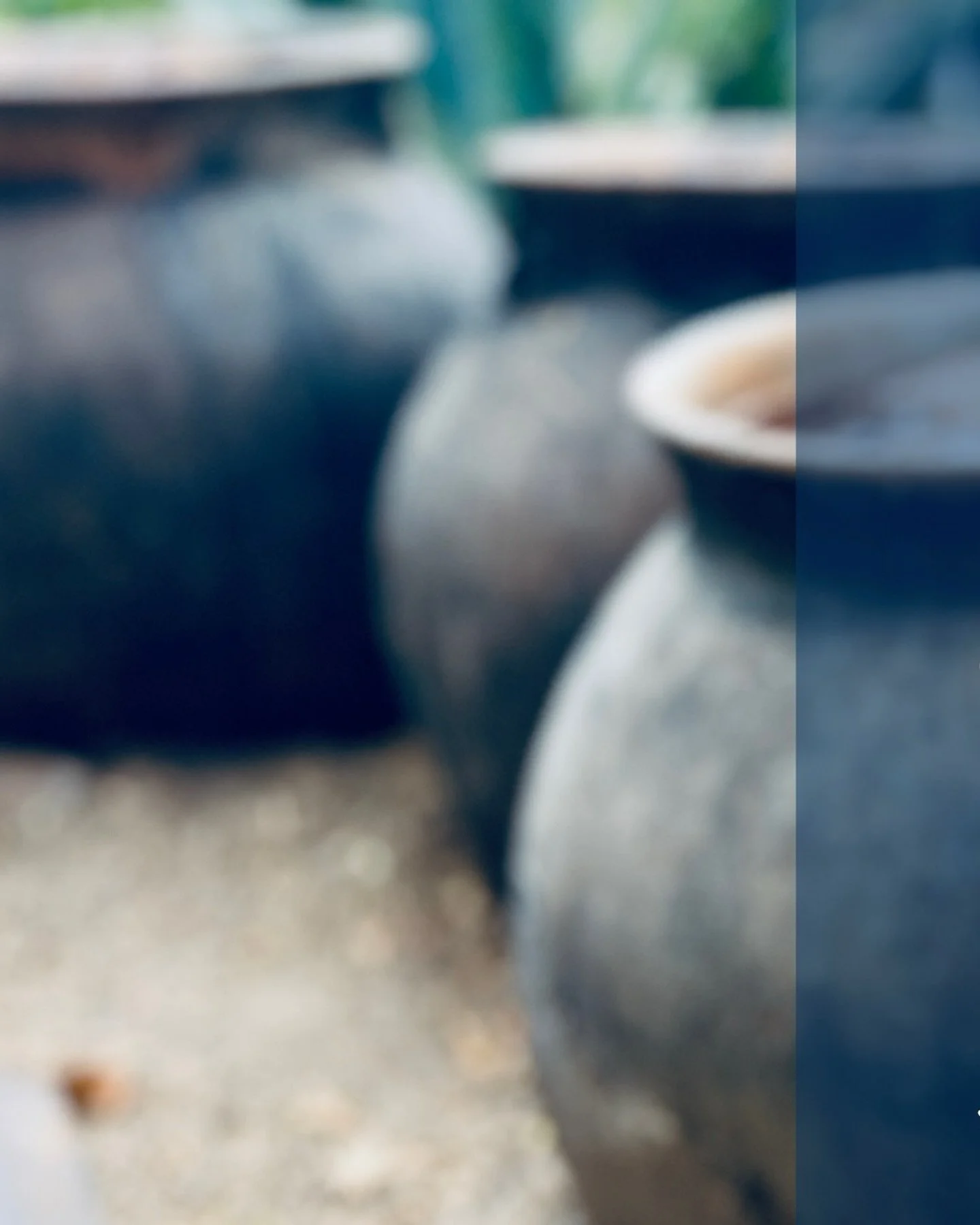 Journal entry - calendar year 2025 revenue share. Read more: https://www.creadorspirits.com/blog

#destiladodeagave
#agavespirits
#palenque 
#creador 
#smallbatchmezcal