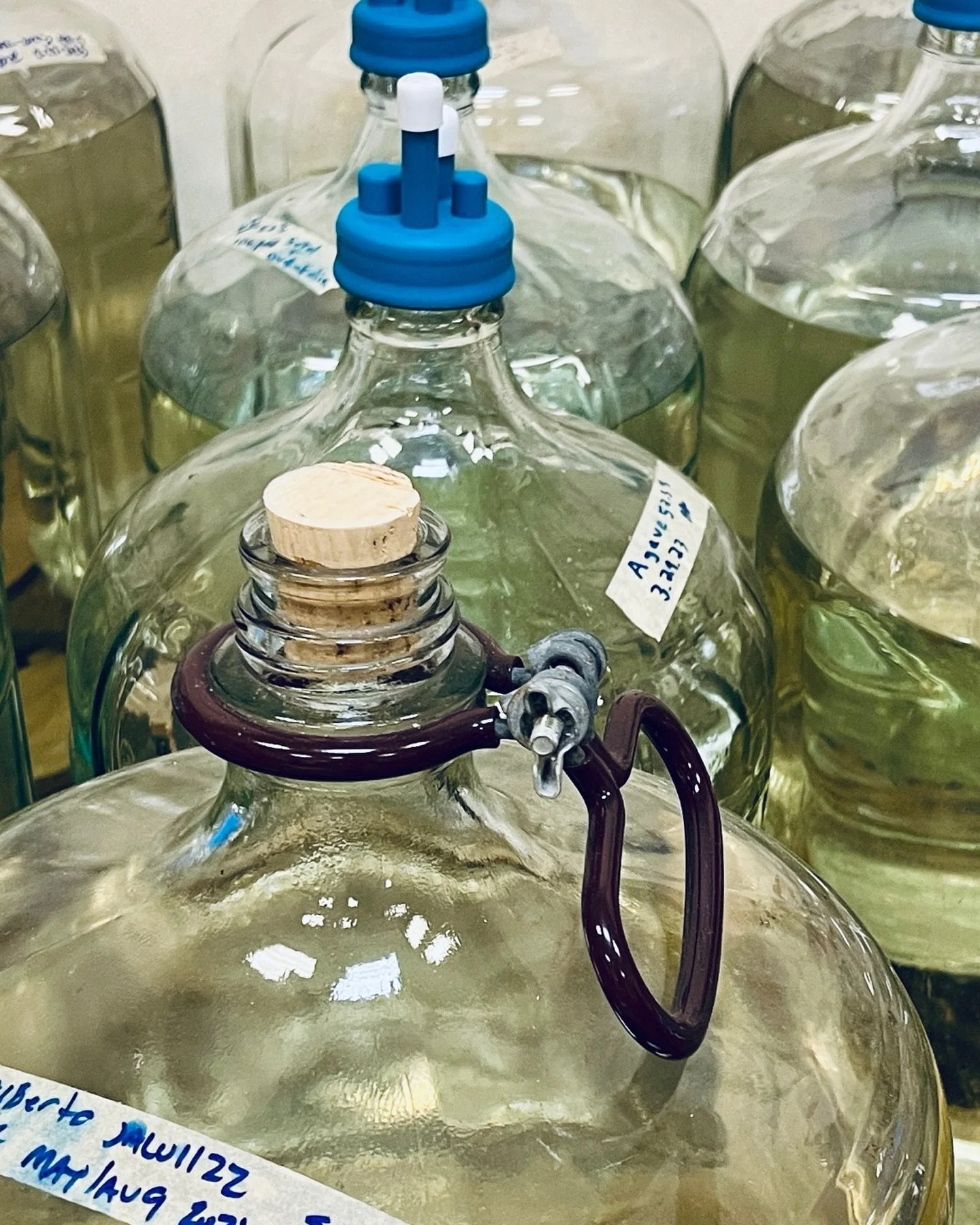 Special tasting this Thursday April 23.
Creador batches by Jos&eacute; Alberto glass-rested in Texas.

Industry 1PM
Public 6PM
Tix at www.switchboardatx.com

#mezcaltasting 
#agavespirits 
#destiladodeagave 
#ancestralmezcal 
#mezcalmonday