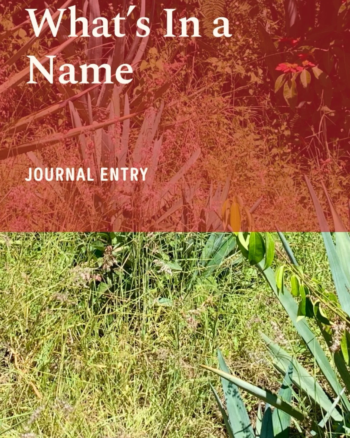 New Journal Entry
What Lumbre Is - Fire, Place, and A Name That Means Different Things Depending On Where You&rsquo;re Sipping

Why Lumbre is Jos&eacute; Alberto&rsquo;s, and the community of San Bernardo Mixtepec, exemplary expression

www.creadorsp