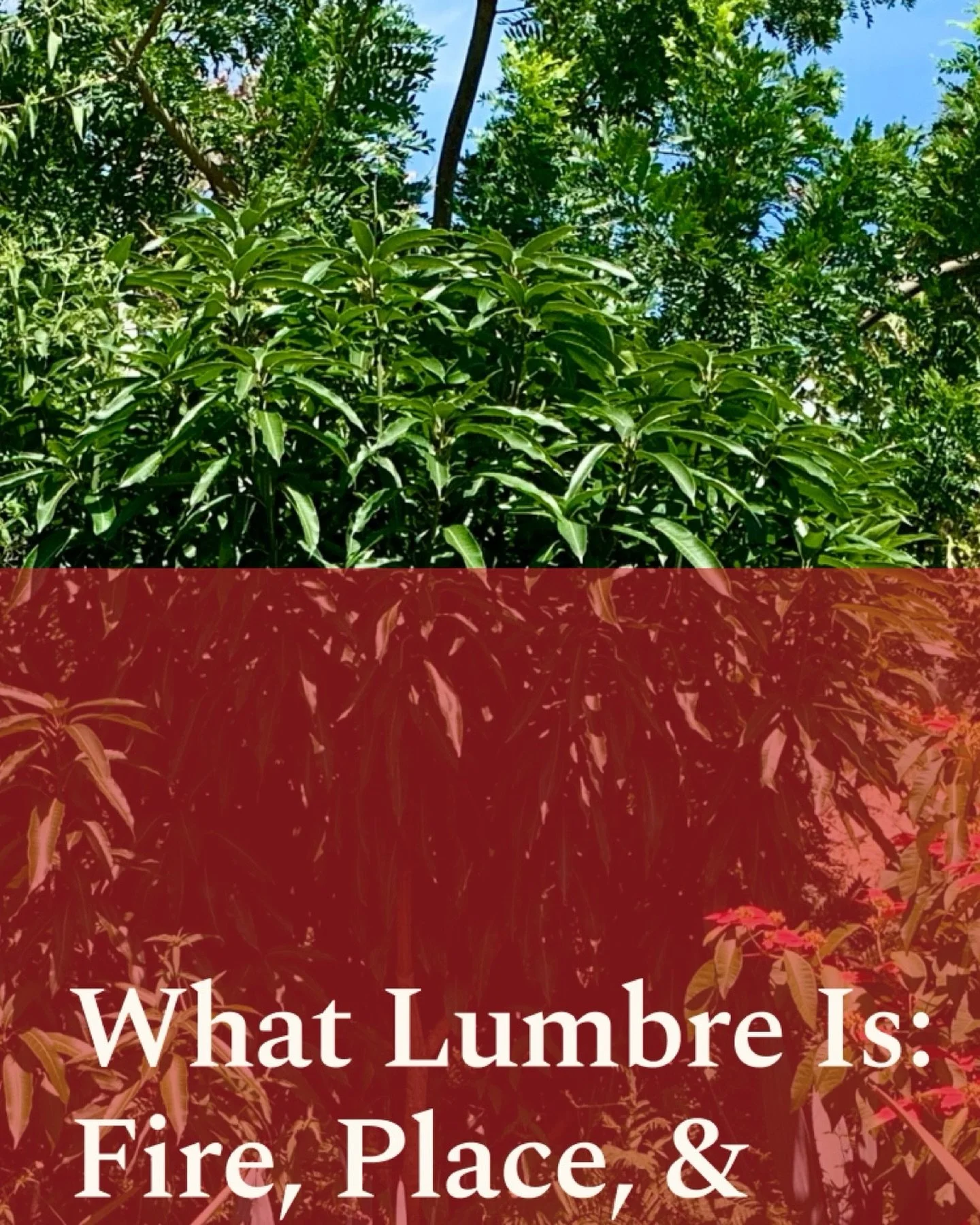 New Journal Entry
What Lumbre Is - Fire, Place, and A Name That Means Different Things Depending On Where You&rsquo;re Sipping

Why Lumbre is Jos&eacute; Alberto&rsquo;s, and the community of San Bernardo Mixtepec, exemplary expression

www.creadorsp