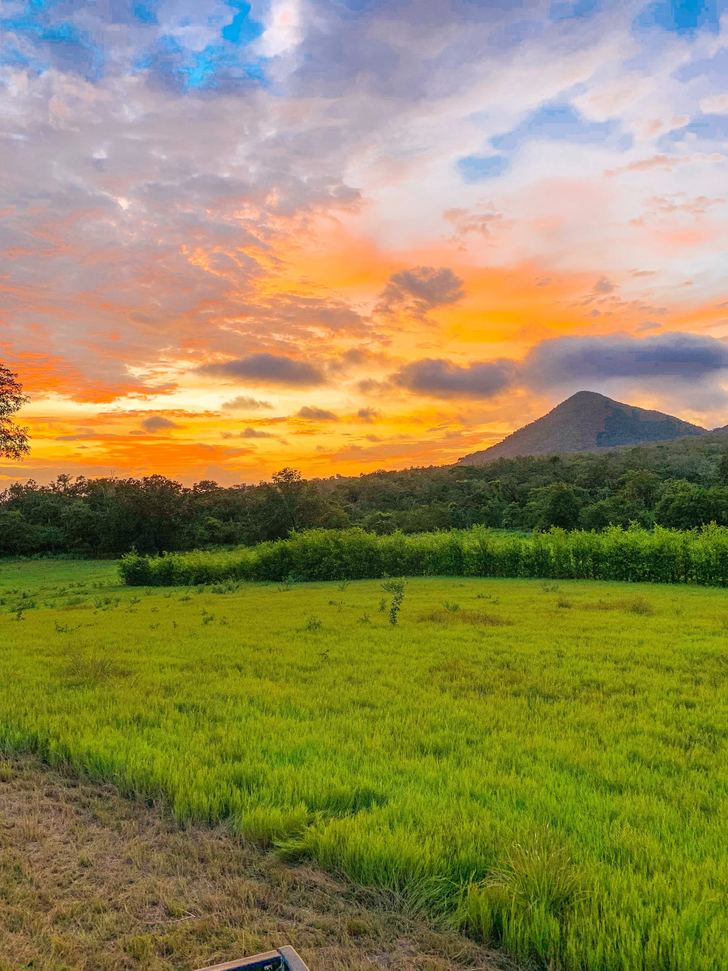 Sunset field in Guanacaste, Costa Rica