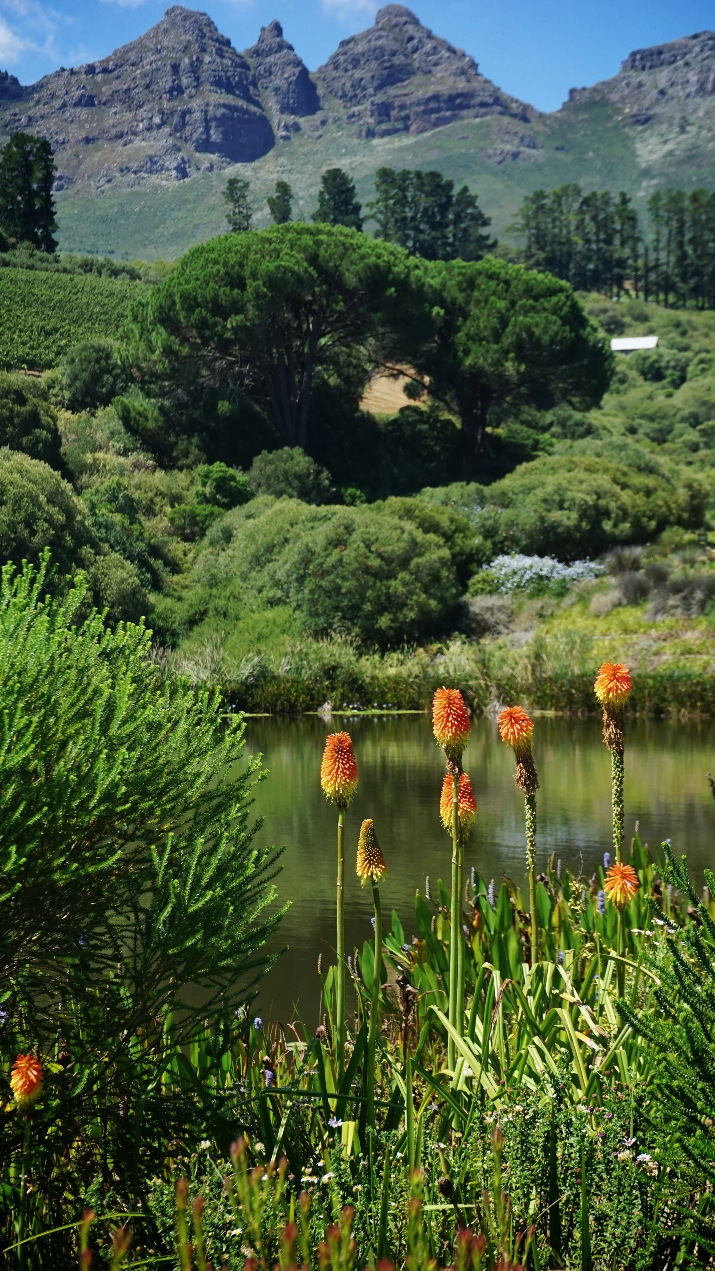 Mountains, walkways, and hills near Stellenbosch, South Africa