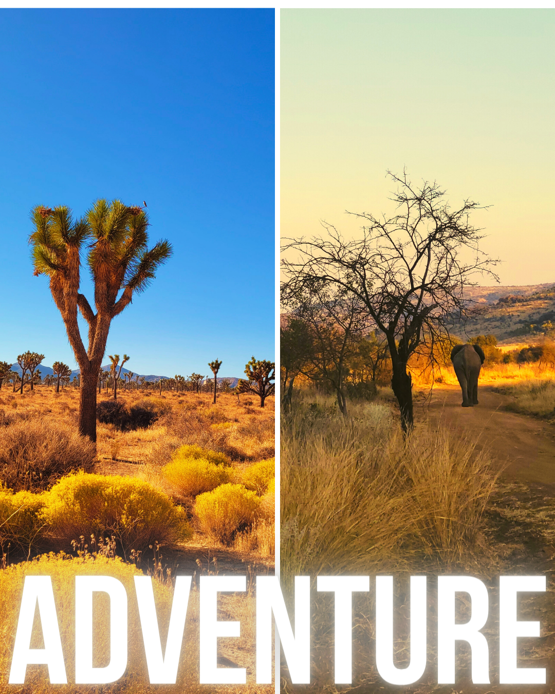 Adventure - HOMEplxce Retreat Poster