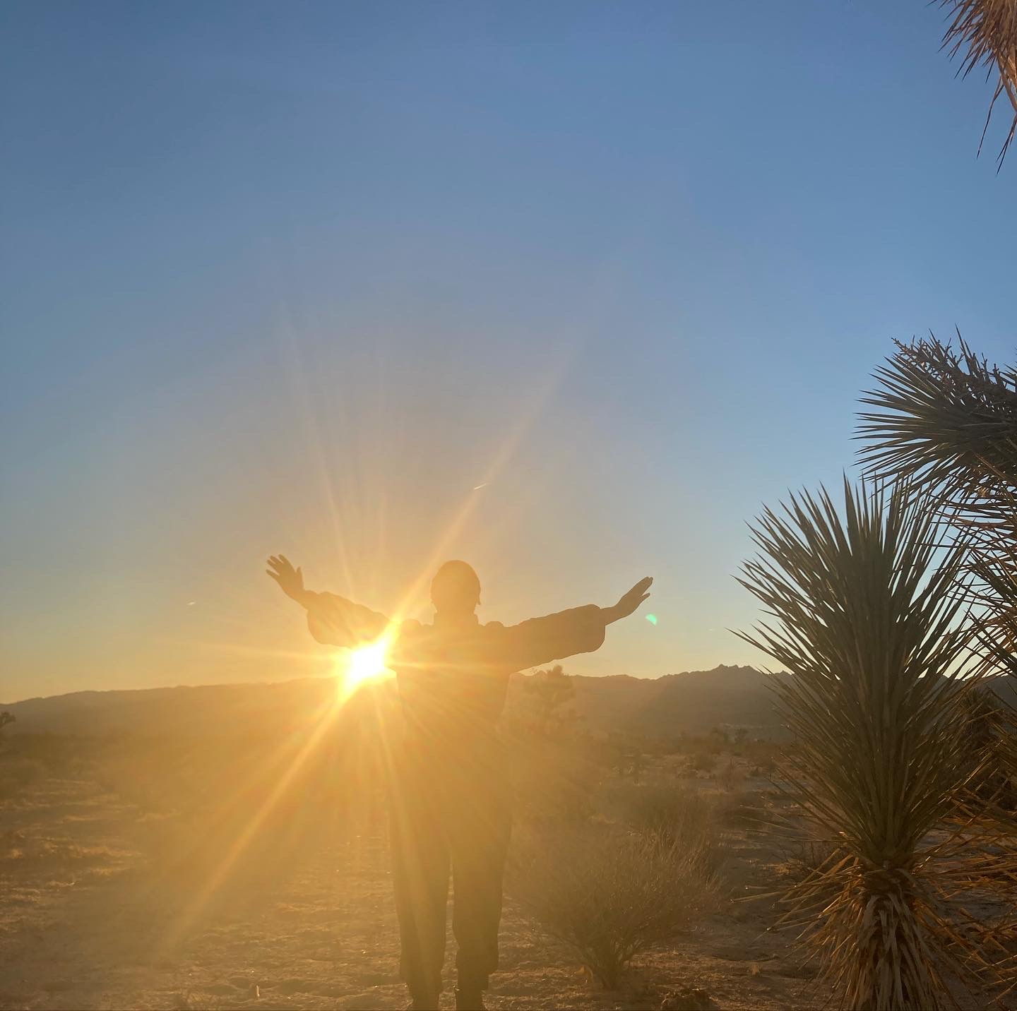 Black queer receives the sunlight, with arms wide open, during a HOMEplxce Retreat