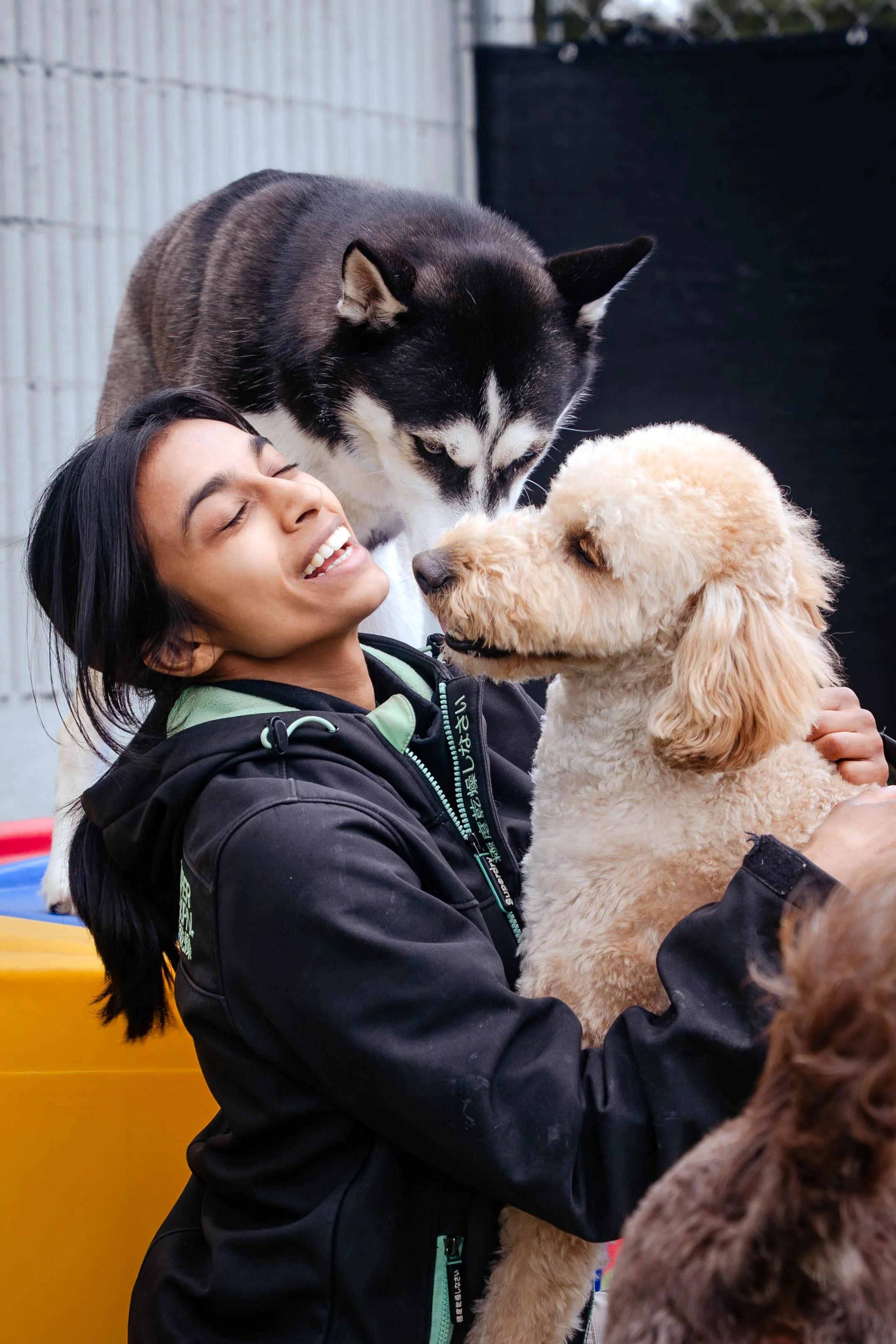 A woman hugging a golden retriever dog with a Siberian husky licking her face.