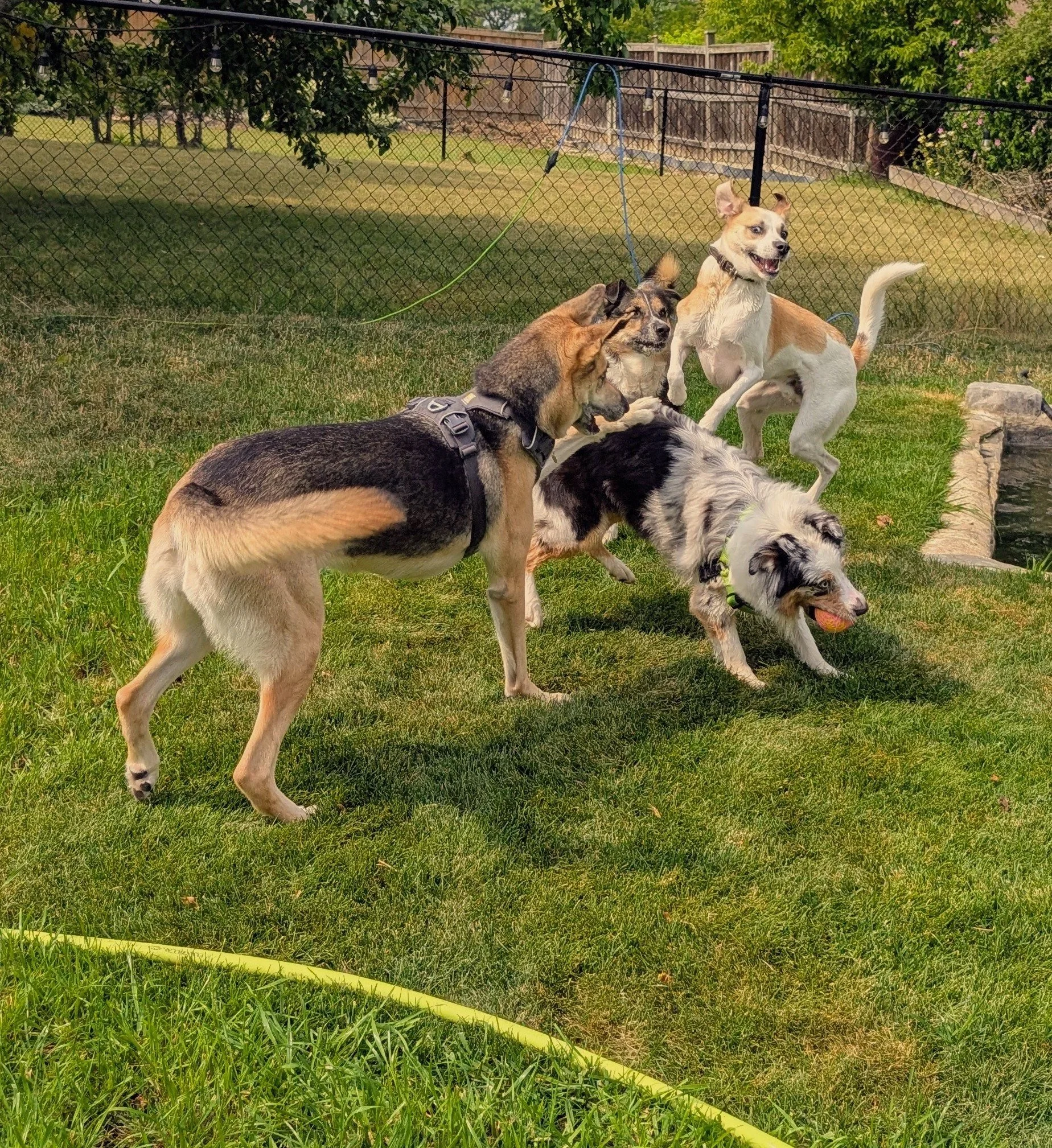GROUP+PLAY+2026+2.jpg
