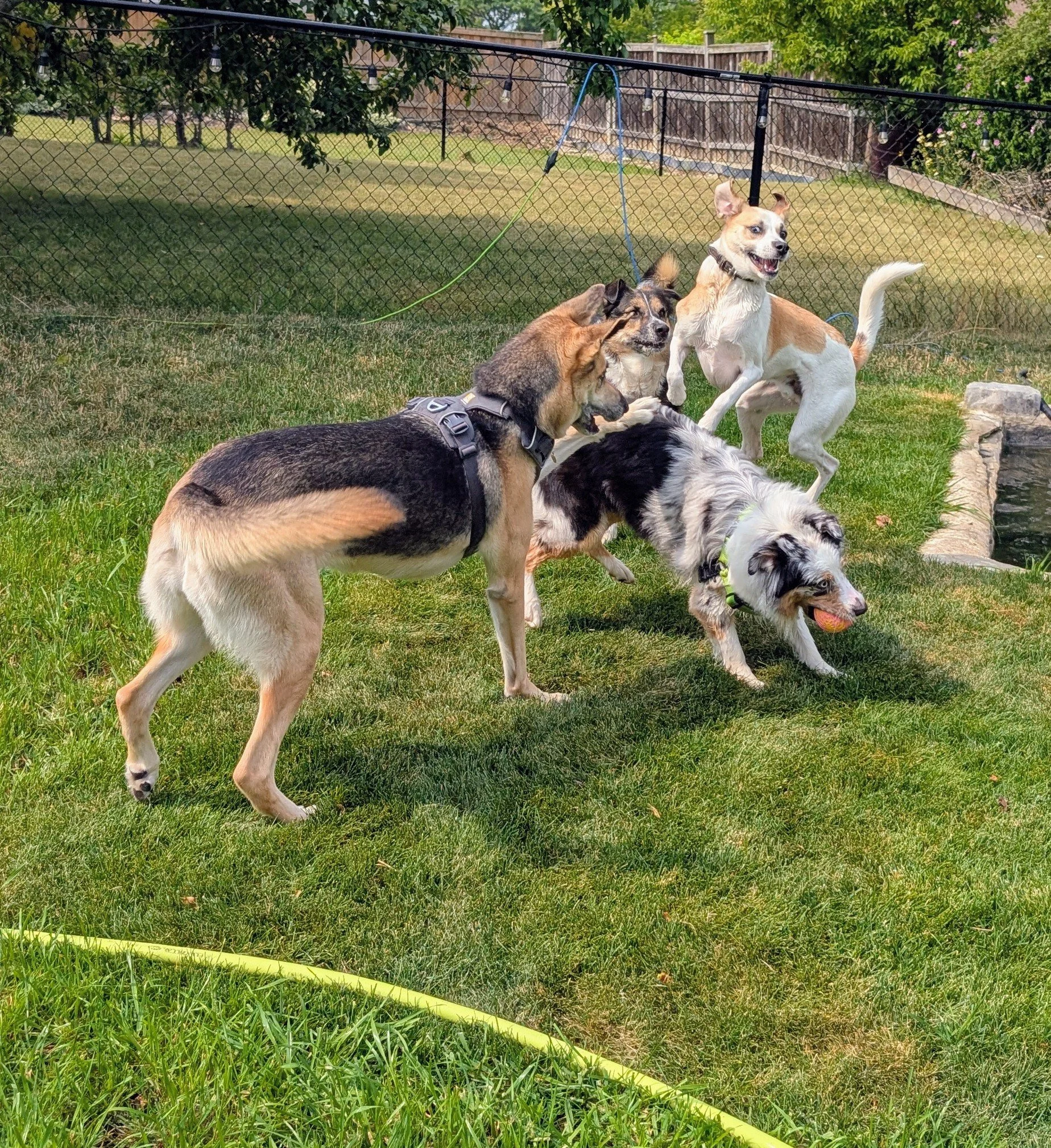 GROUP PLAY 2026 2.jpg