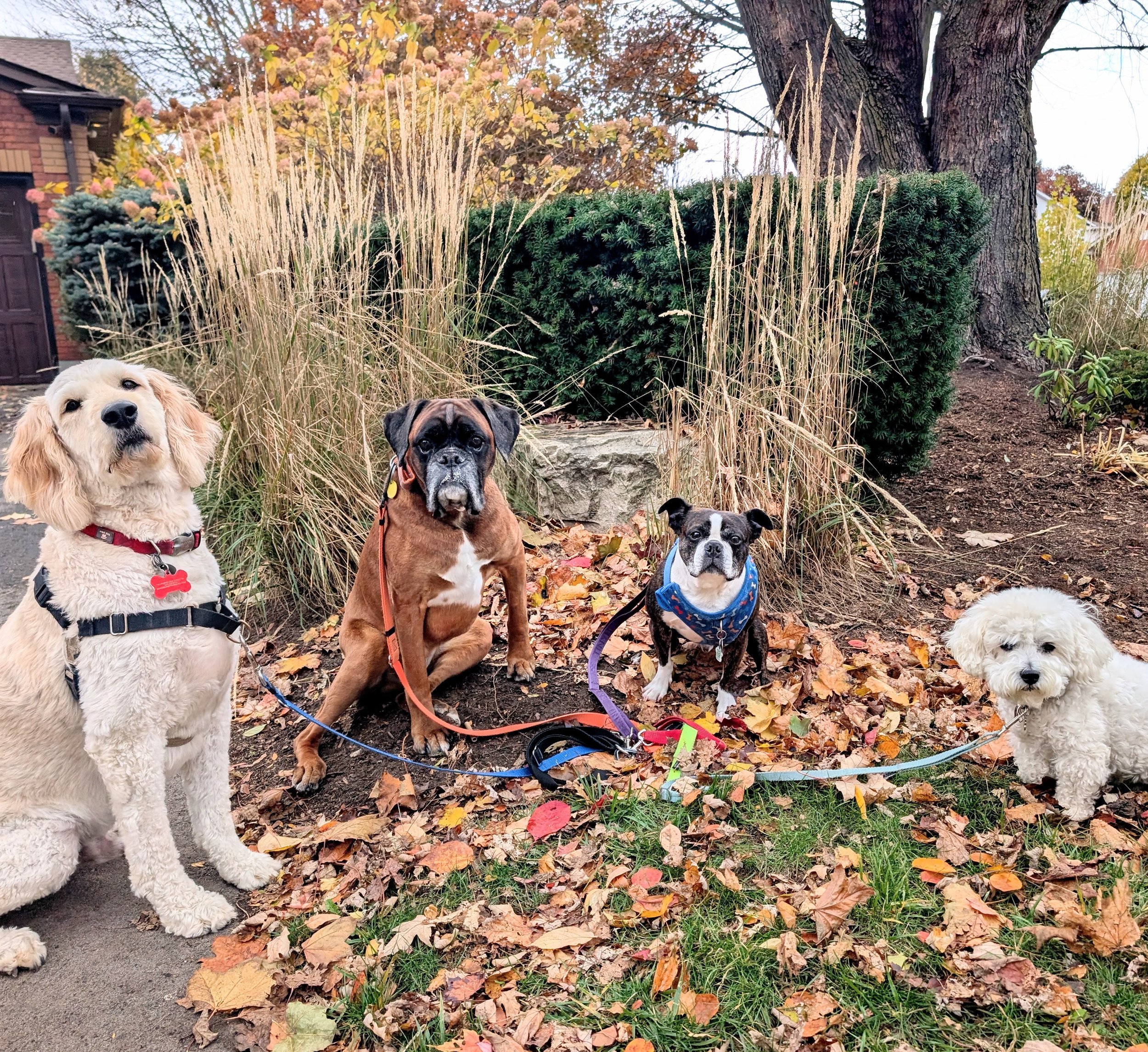 pack walk 2.jpg