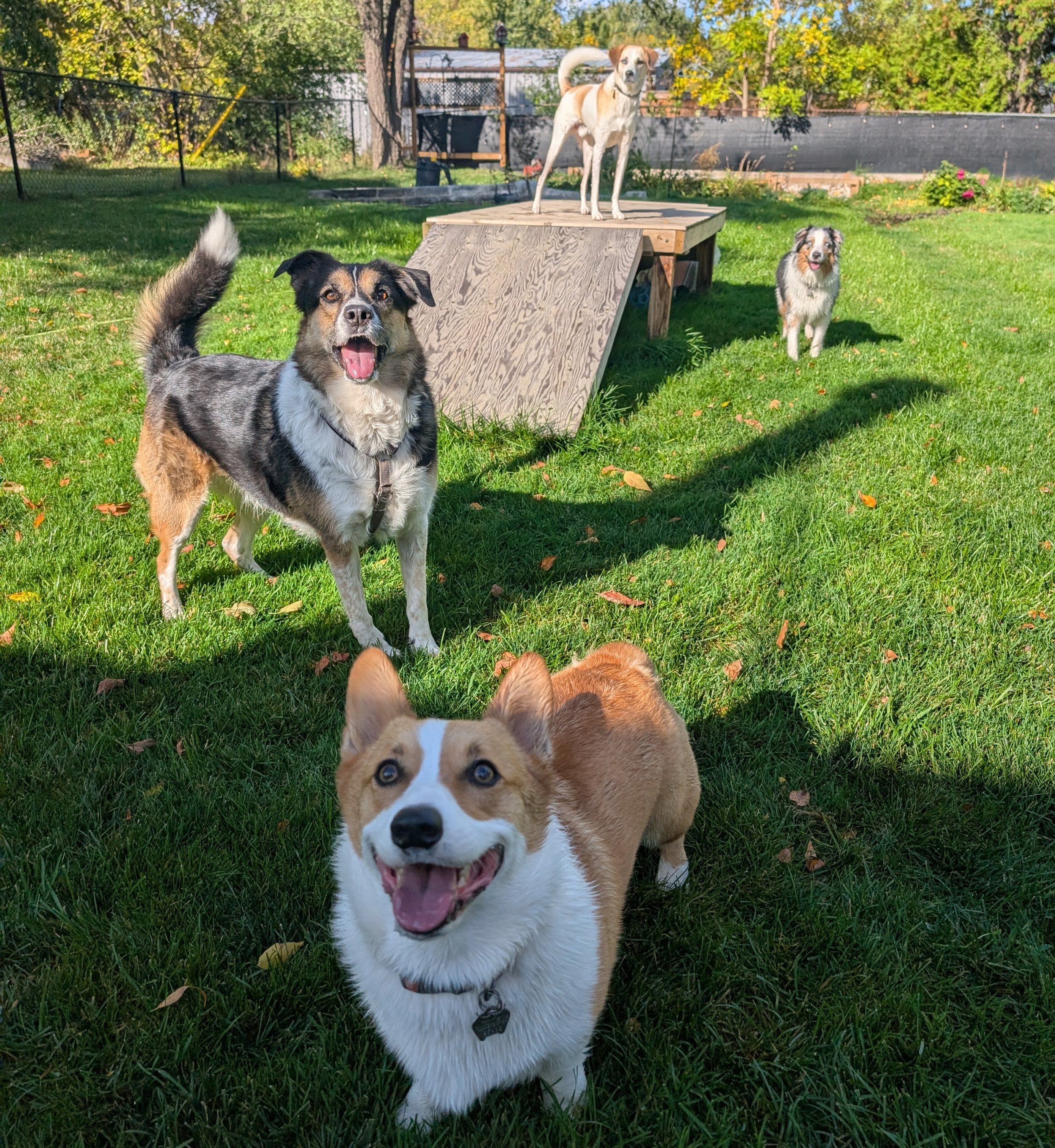 GROUP PLAY 2026.jpg