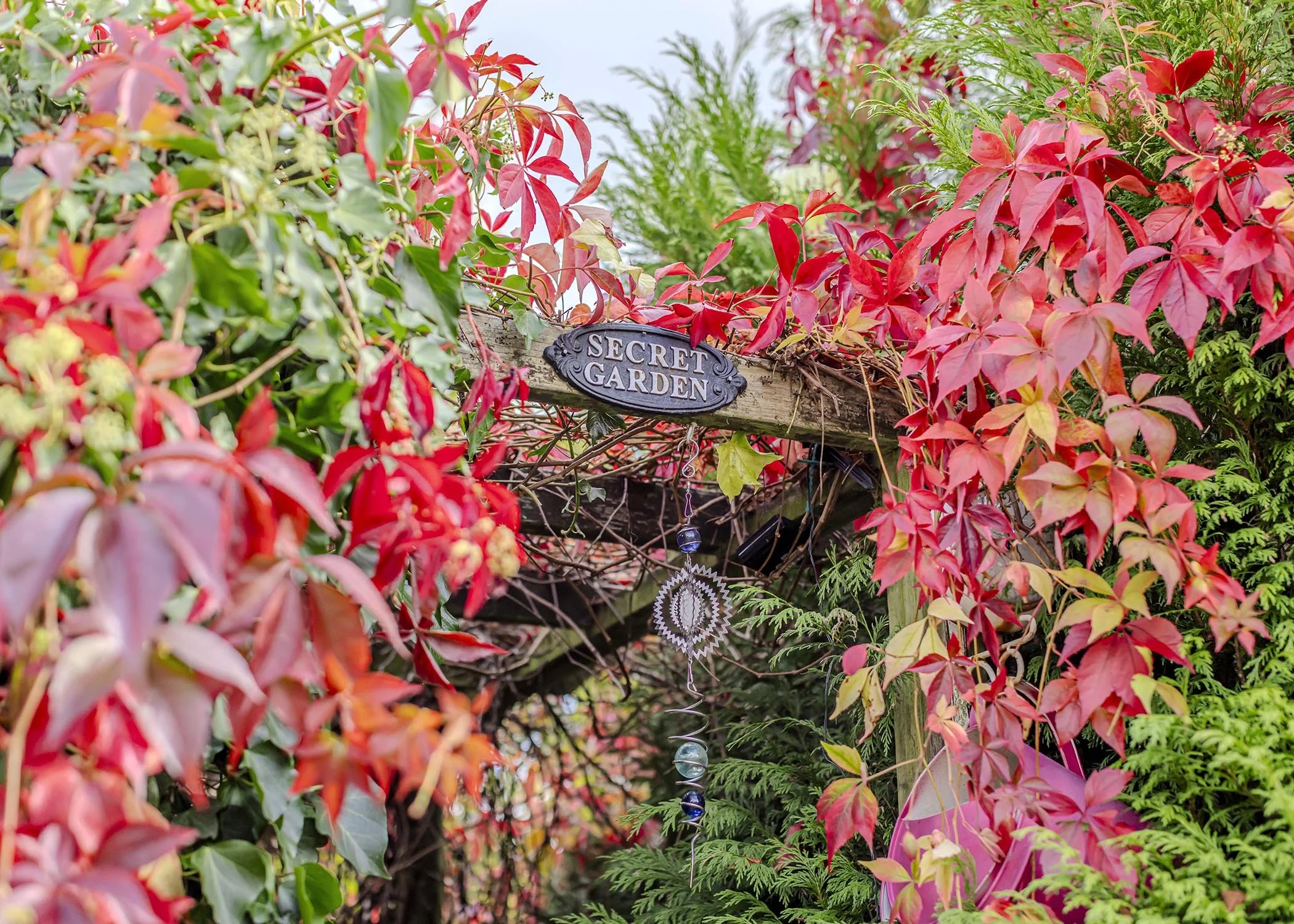 NEAR EXT rear R1.jpg