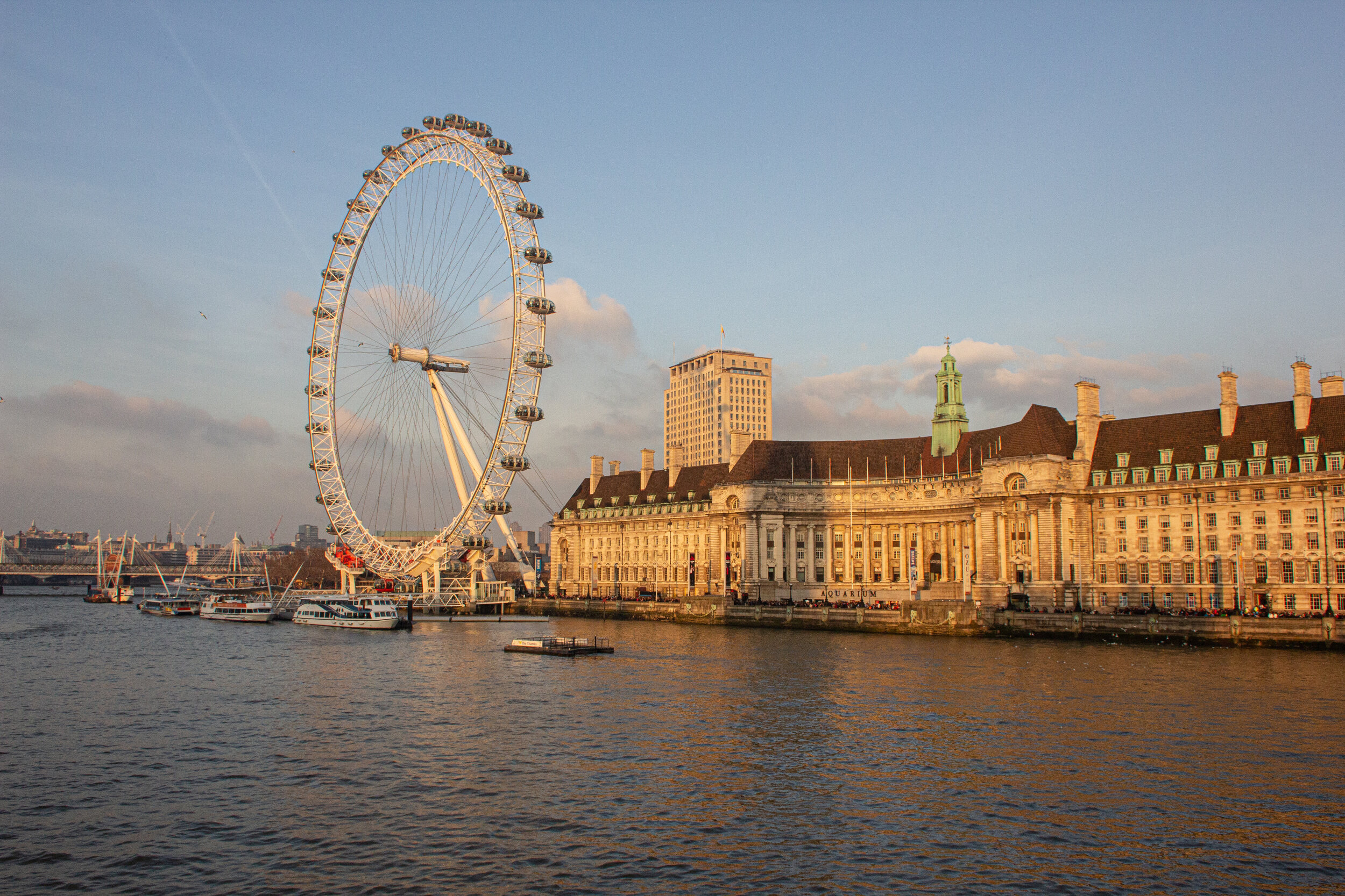 IMG_7231.jpg