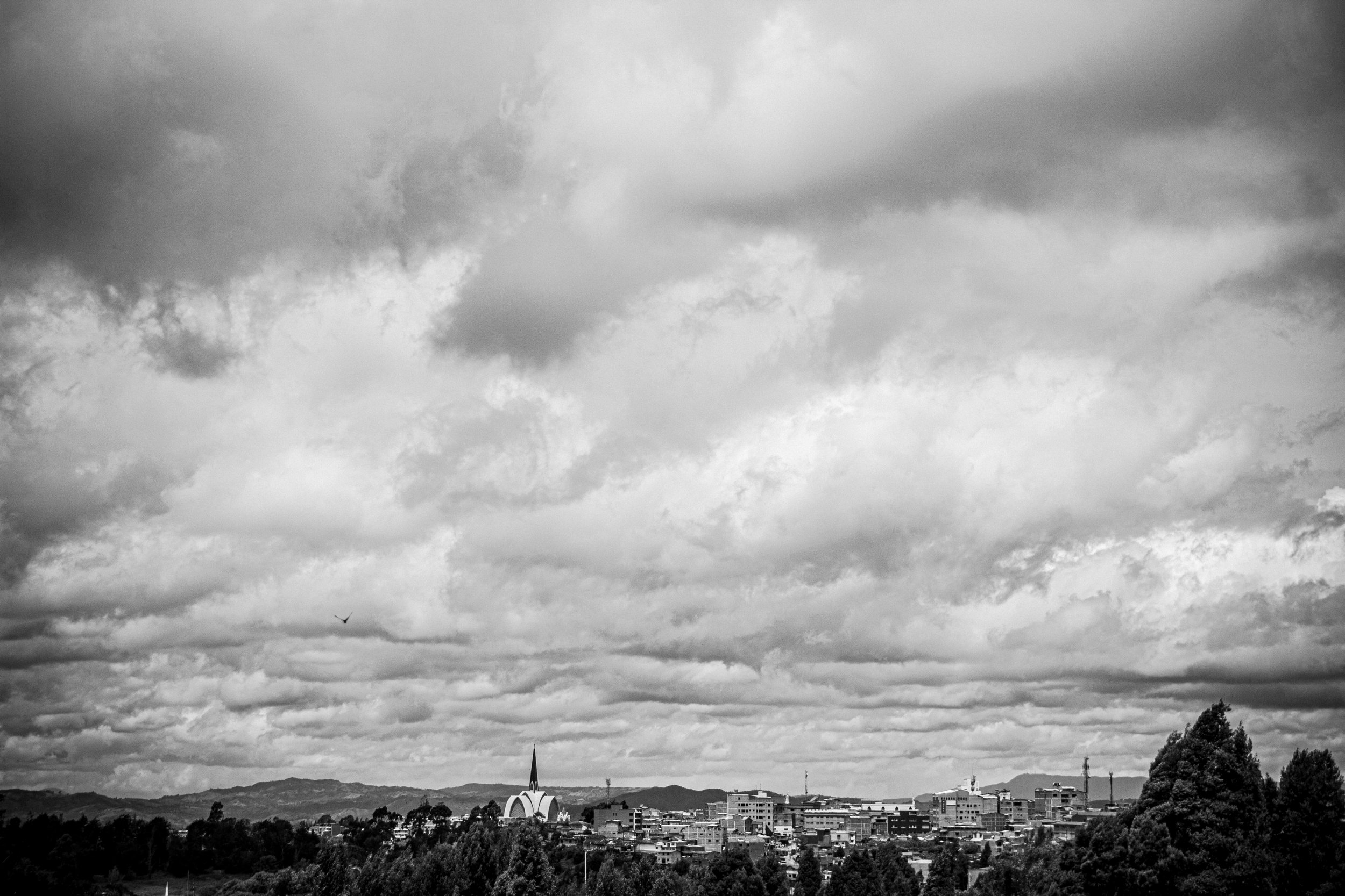 IMG_3472.jpg