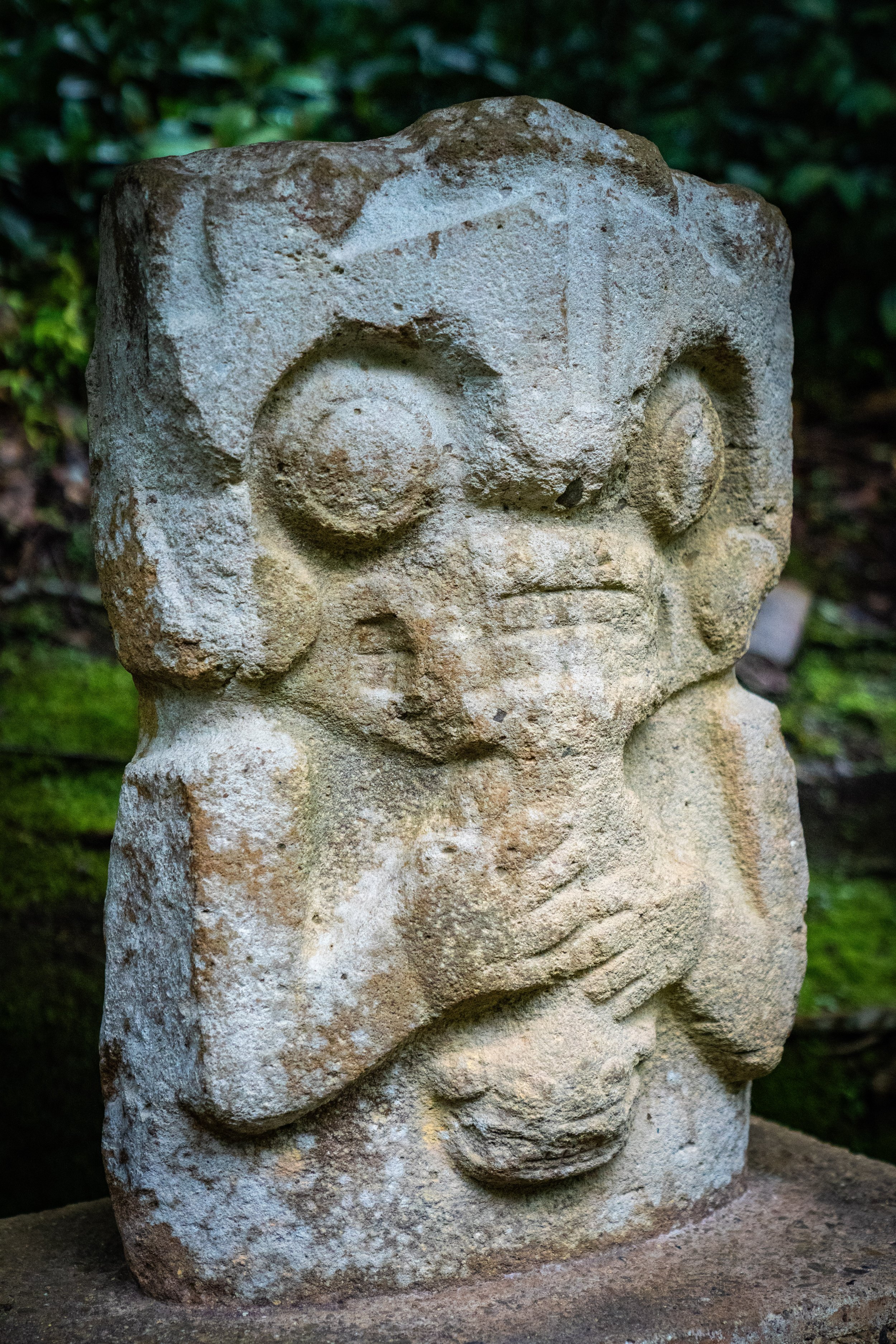 DSC09128.jpg
