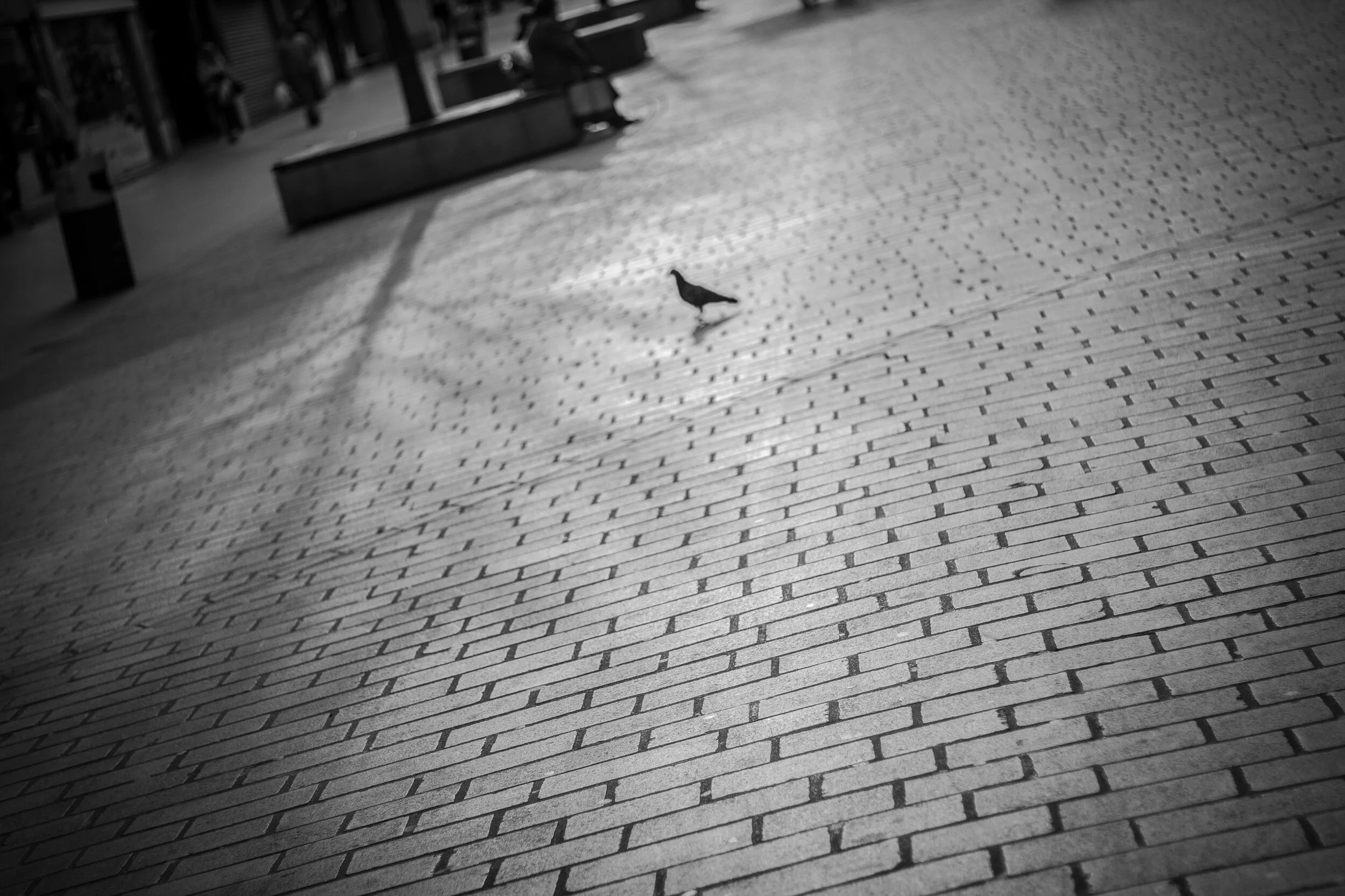 IMG_8423.jpg