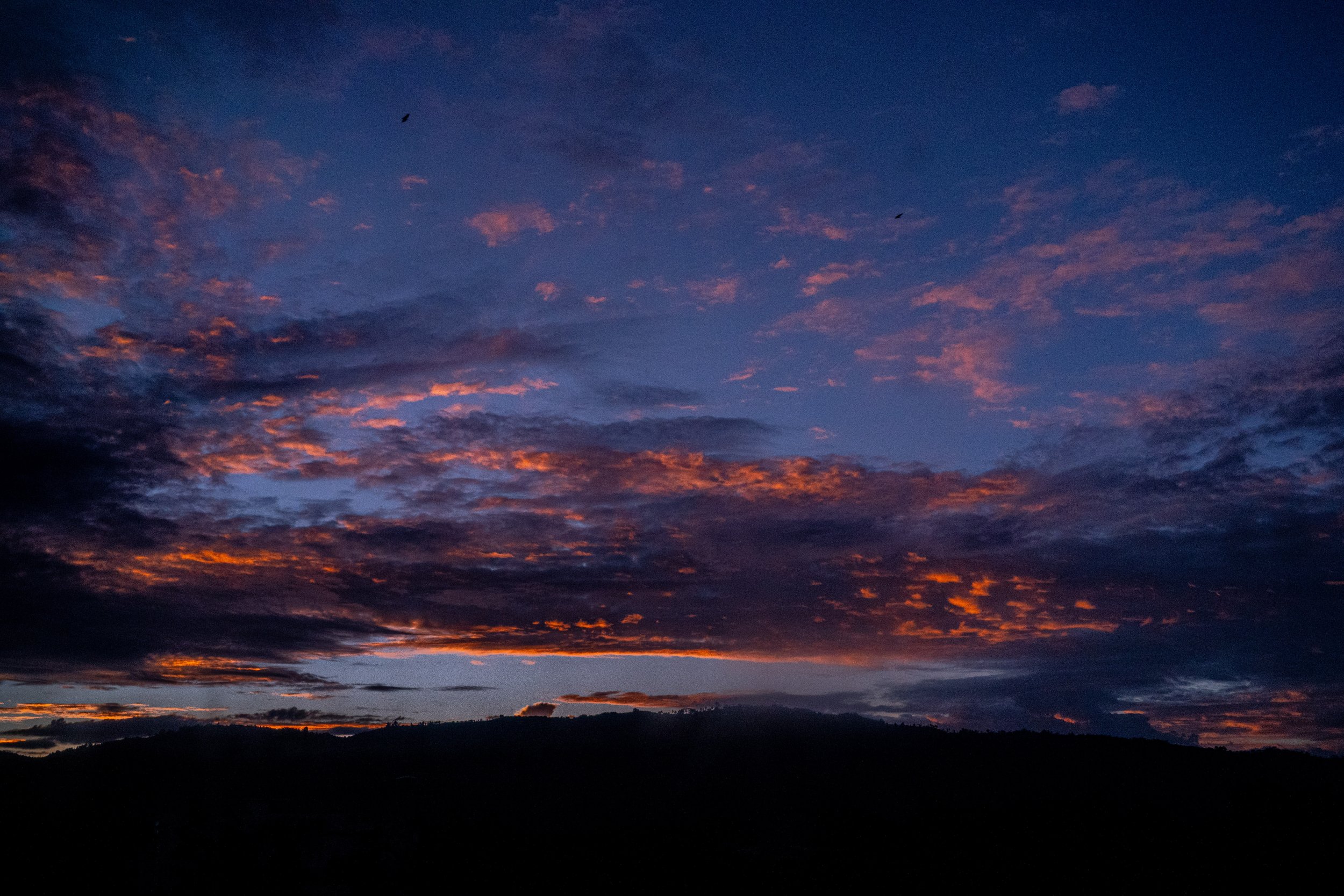 DSC09019.jpg