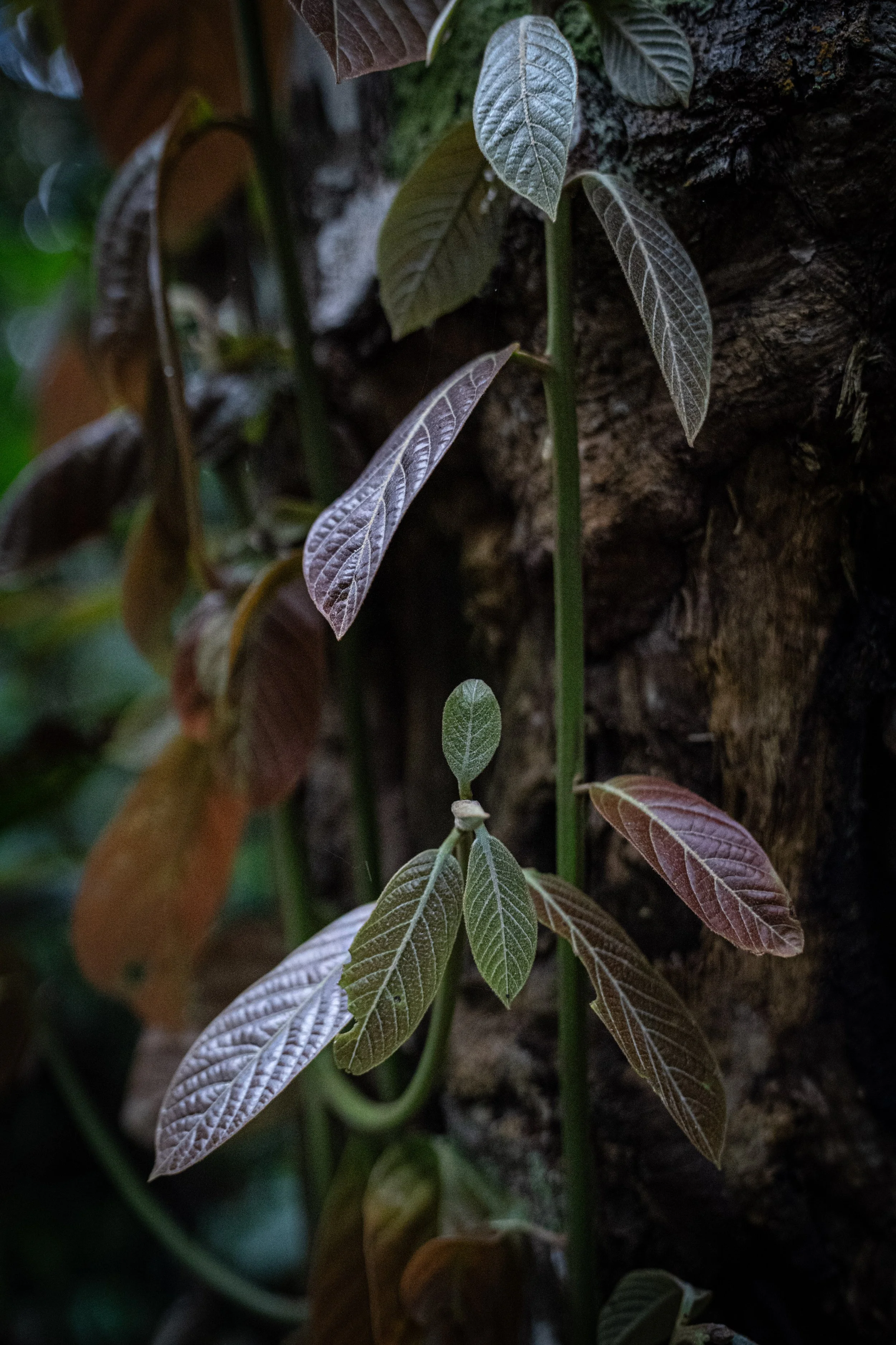 DSC09092.jpg