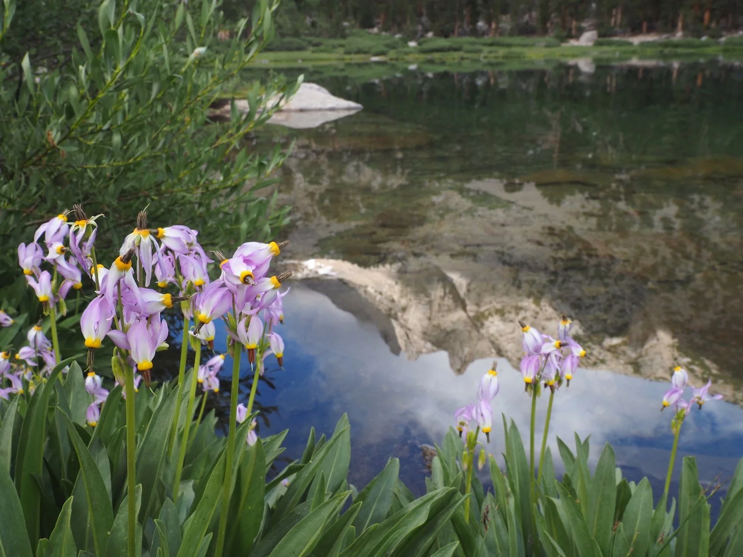 Lakeside Shooting stars / a reflection on high peaks / passing clouds and sun