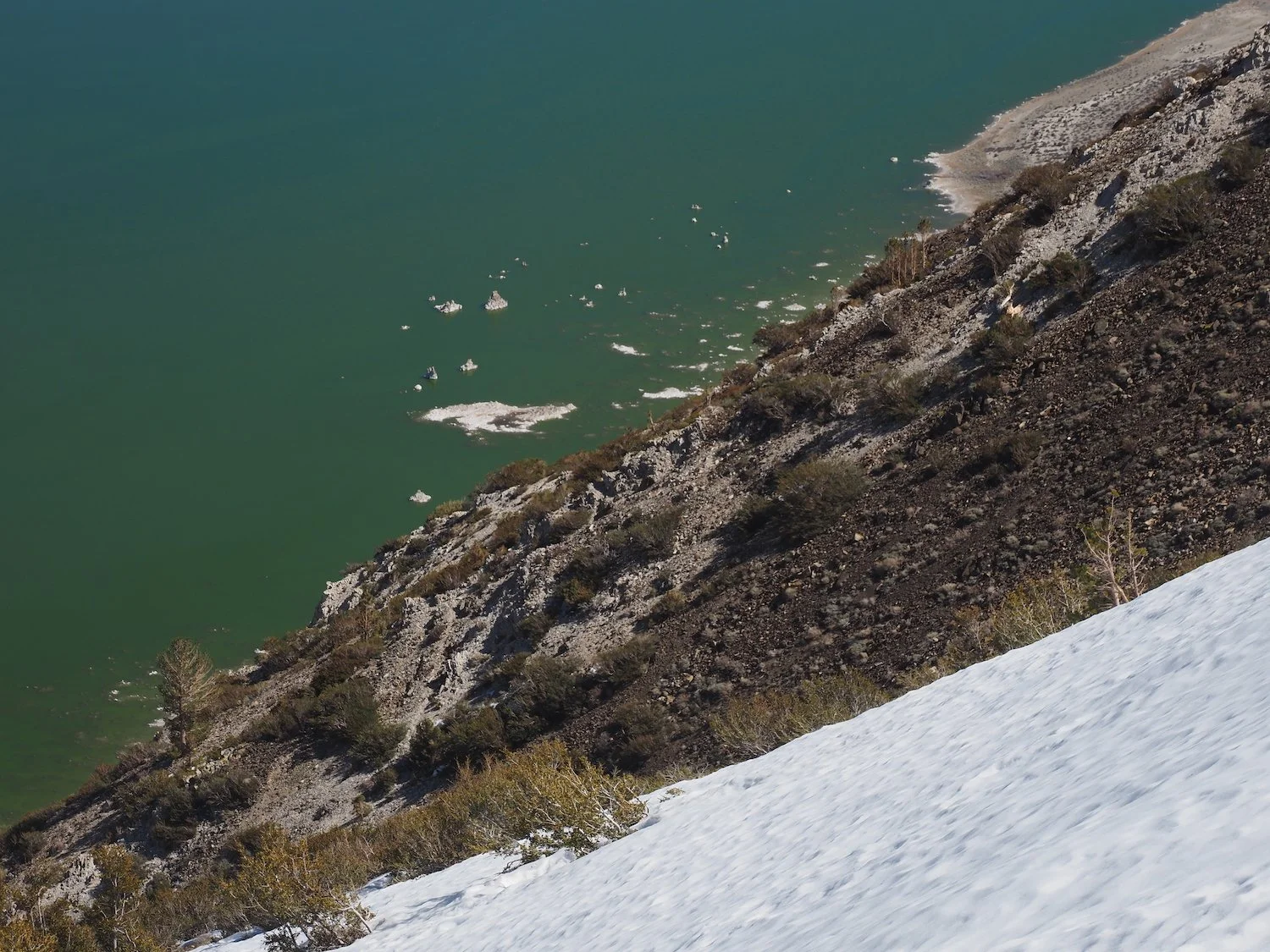 In spring and winter / Mono Lake is pea soup green / from an algal bloom