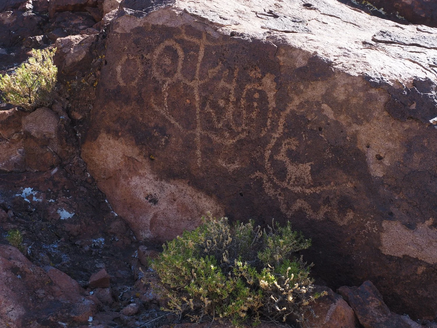 Swu 00039.JPG