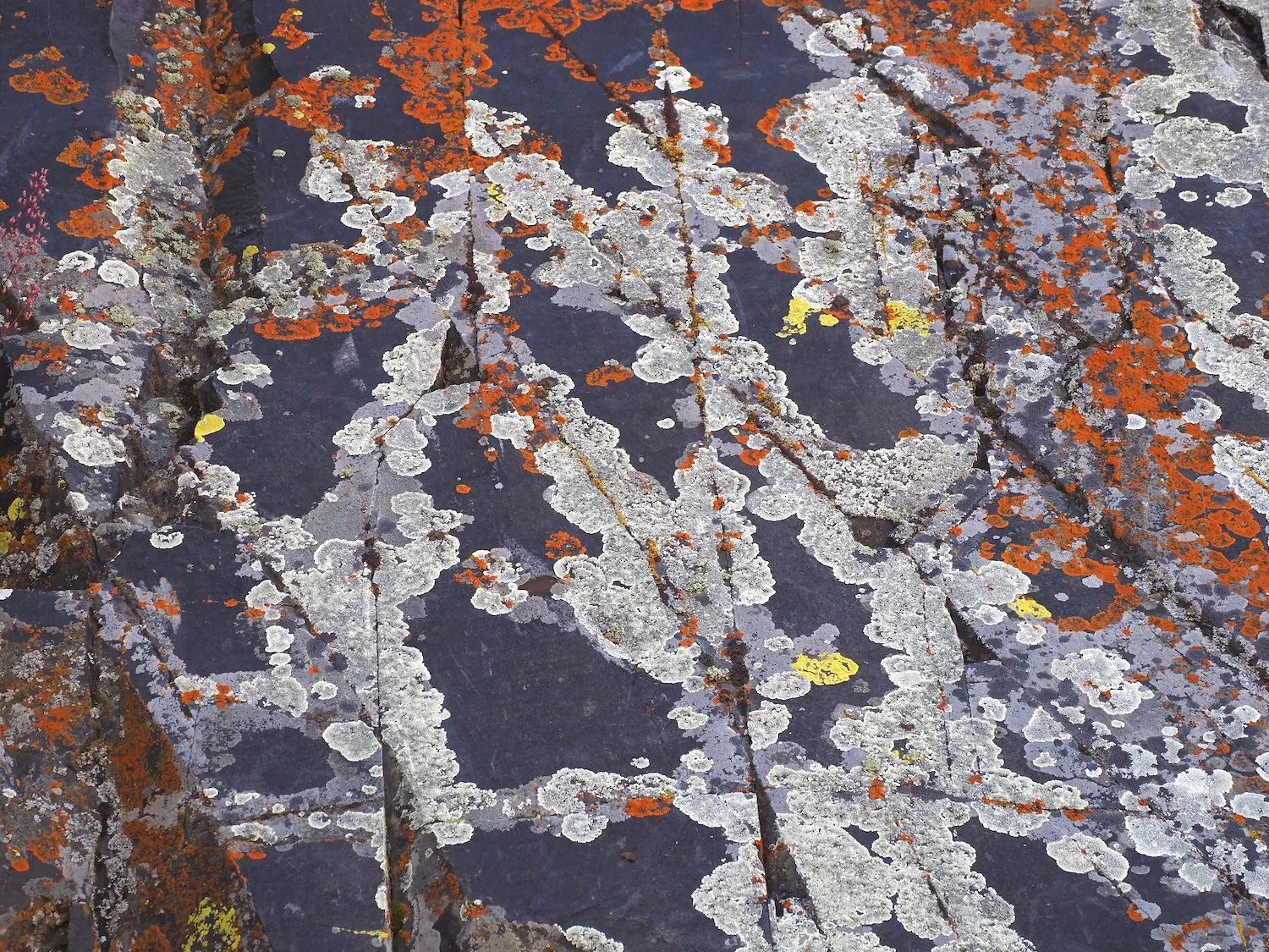 IWS 00016.JPG