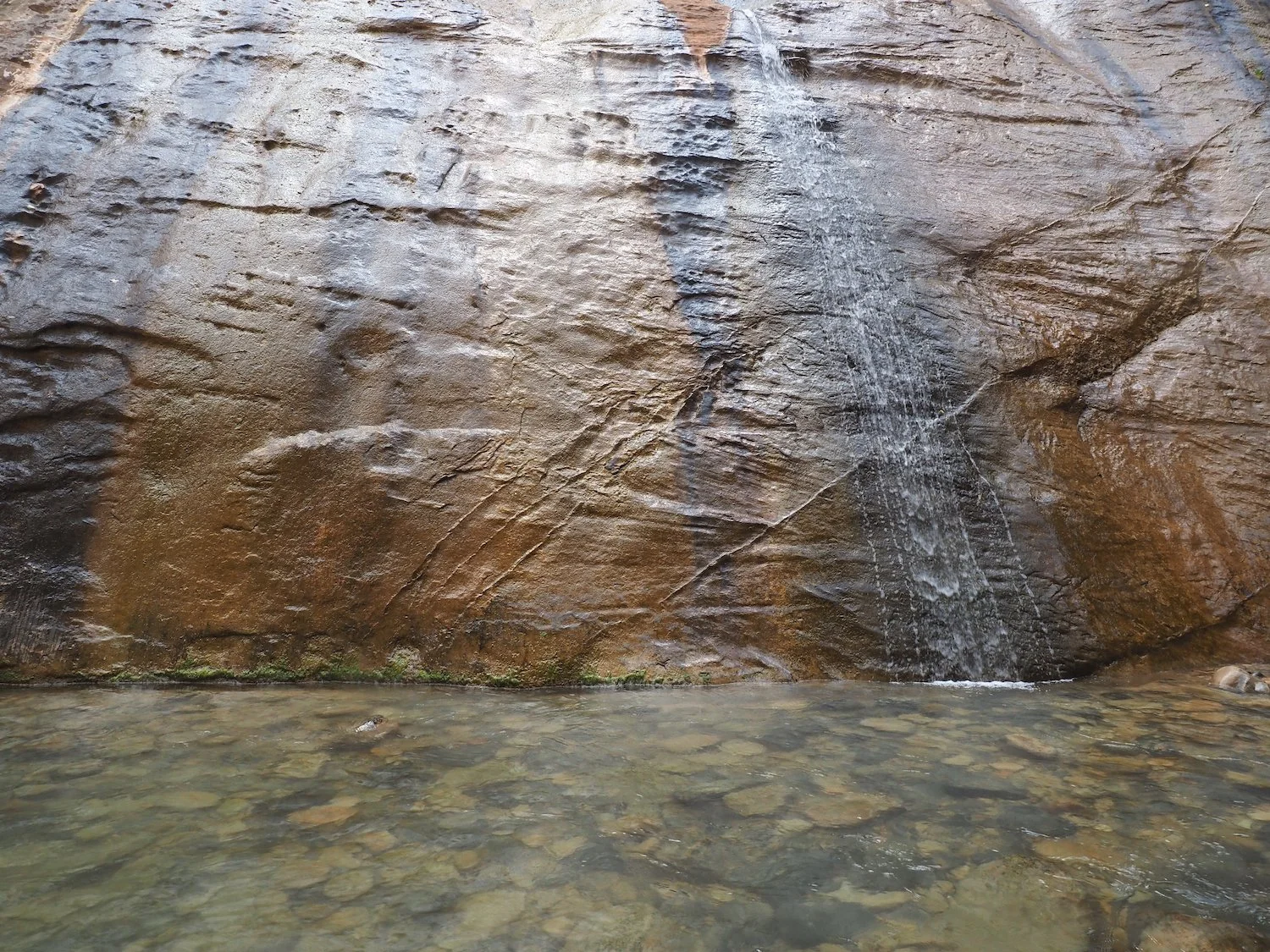Swu 00137.JPG