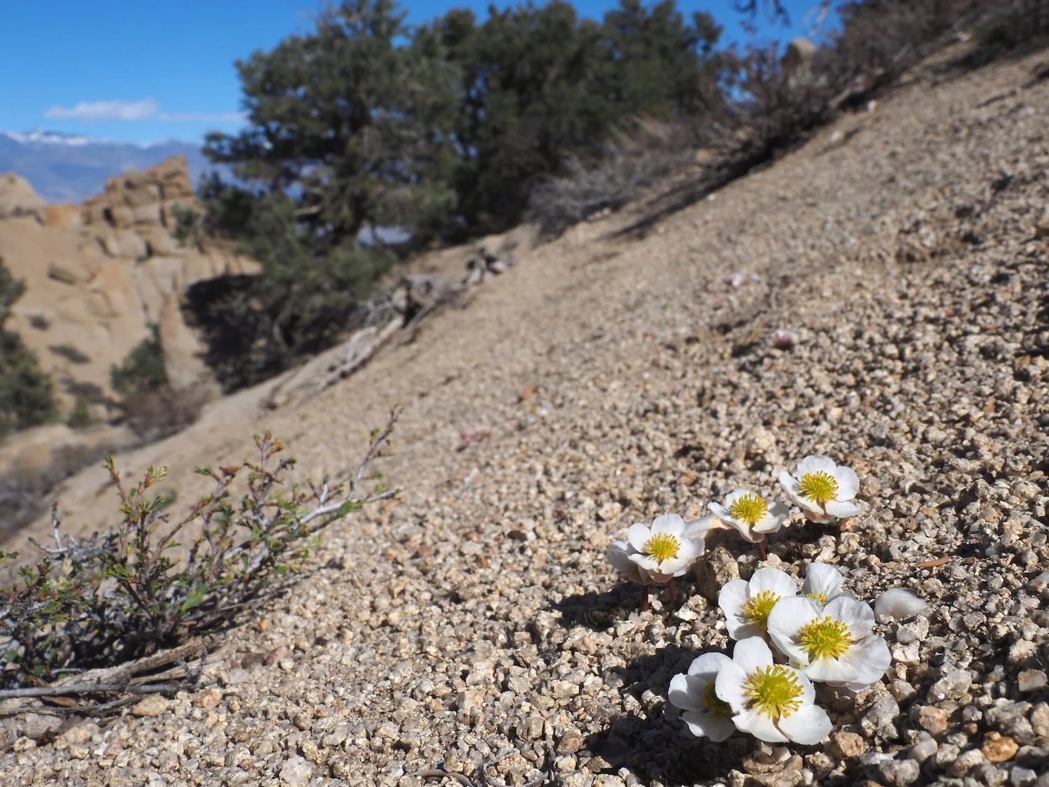 Mar 00053.JPG