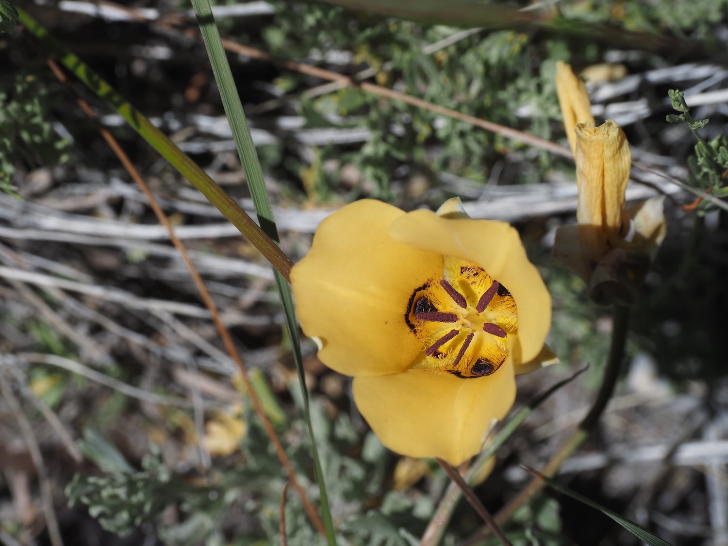 IWS 00021.JPG