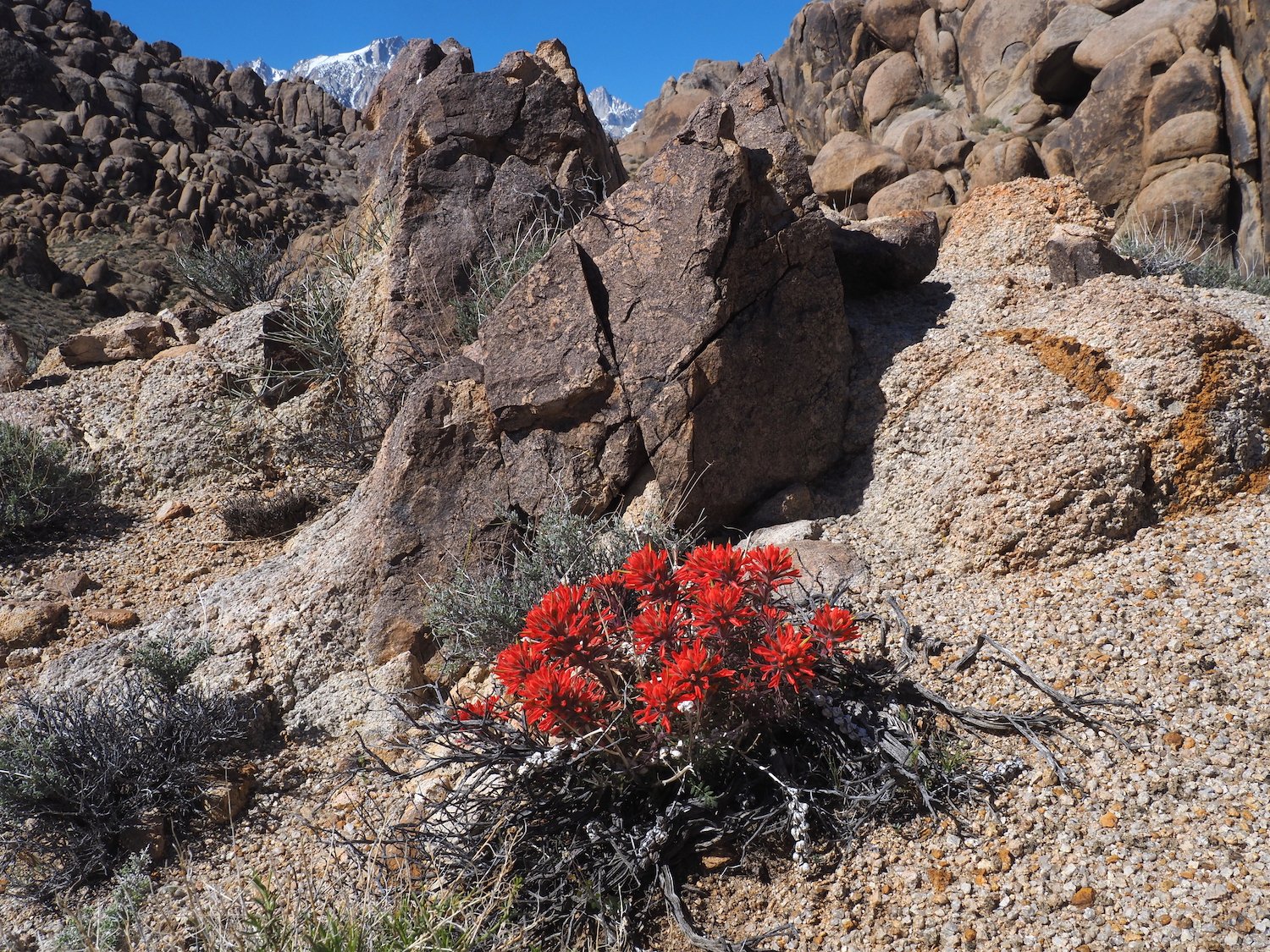 Mar 00055.JPG