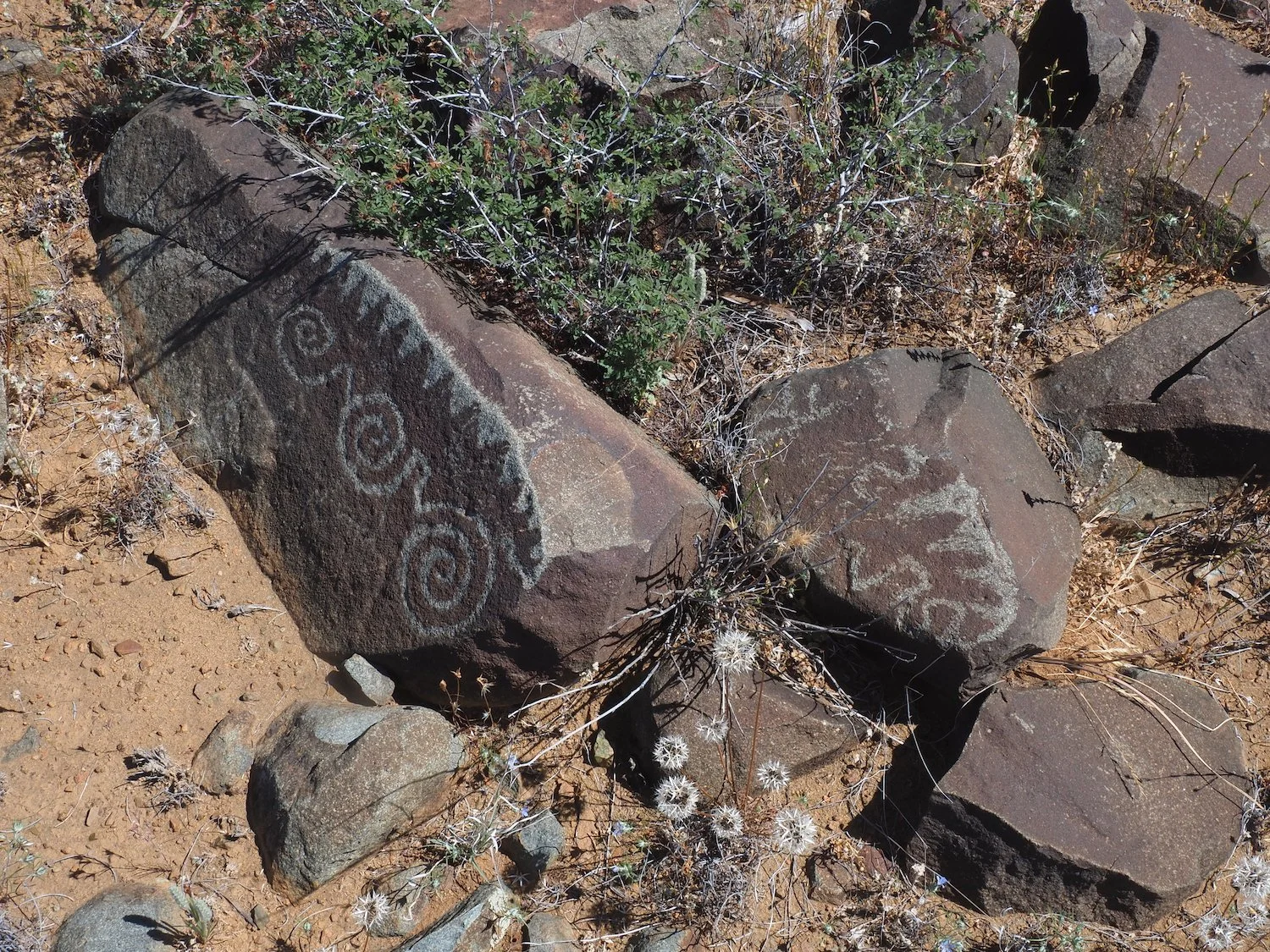 P4030361.JPG
