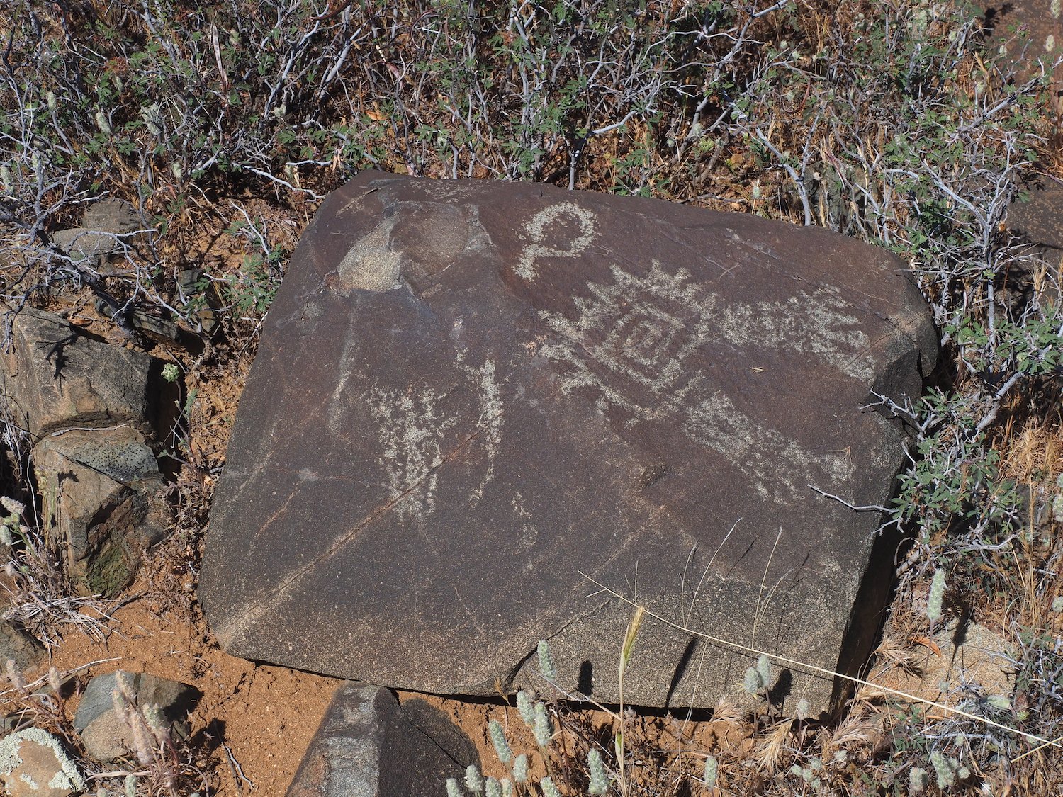 CeAzTr 00032.JPG