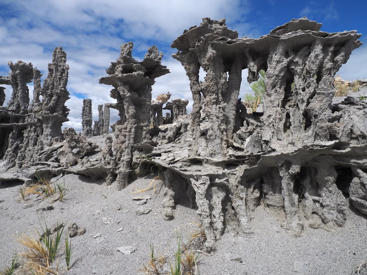 The shape of a spring / carbonate and calcium waters / under a sand dune