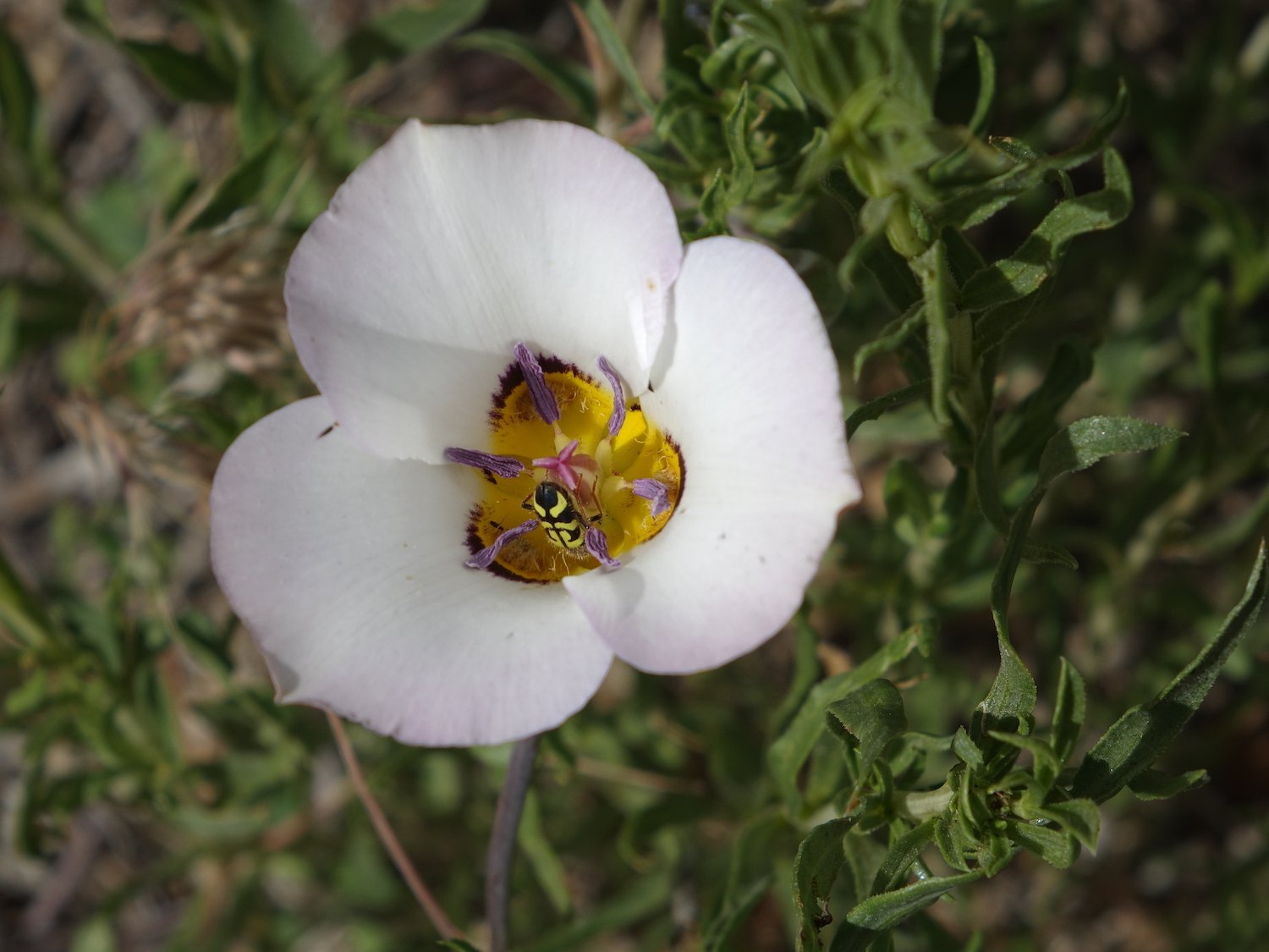 D 00019.JPG