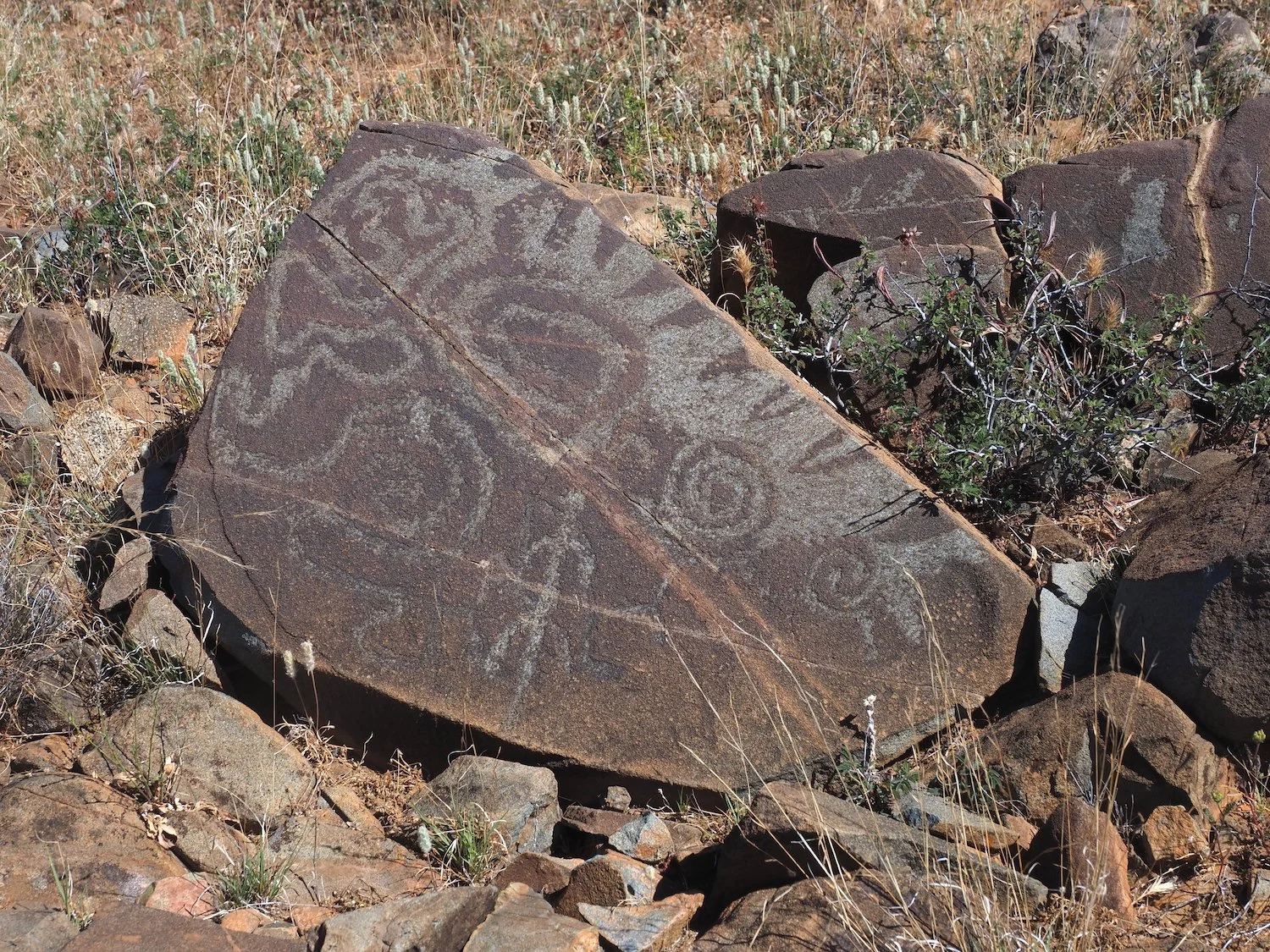P4030323.JPG