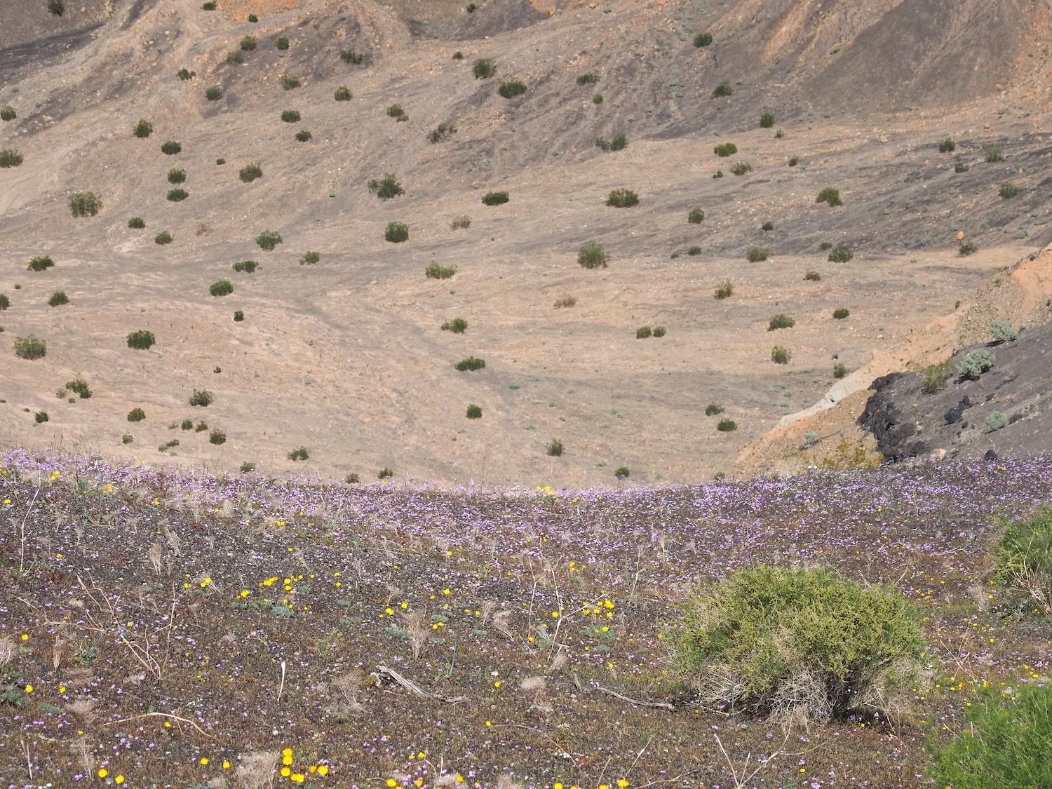 Ubehe 00052.JPG