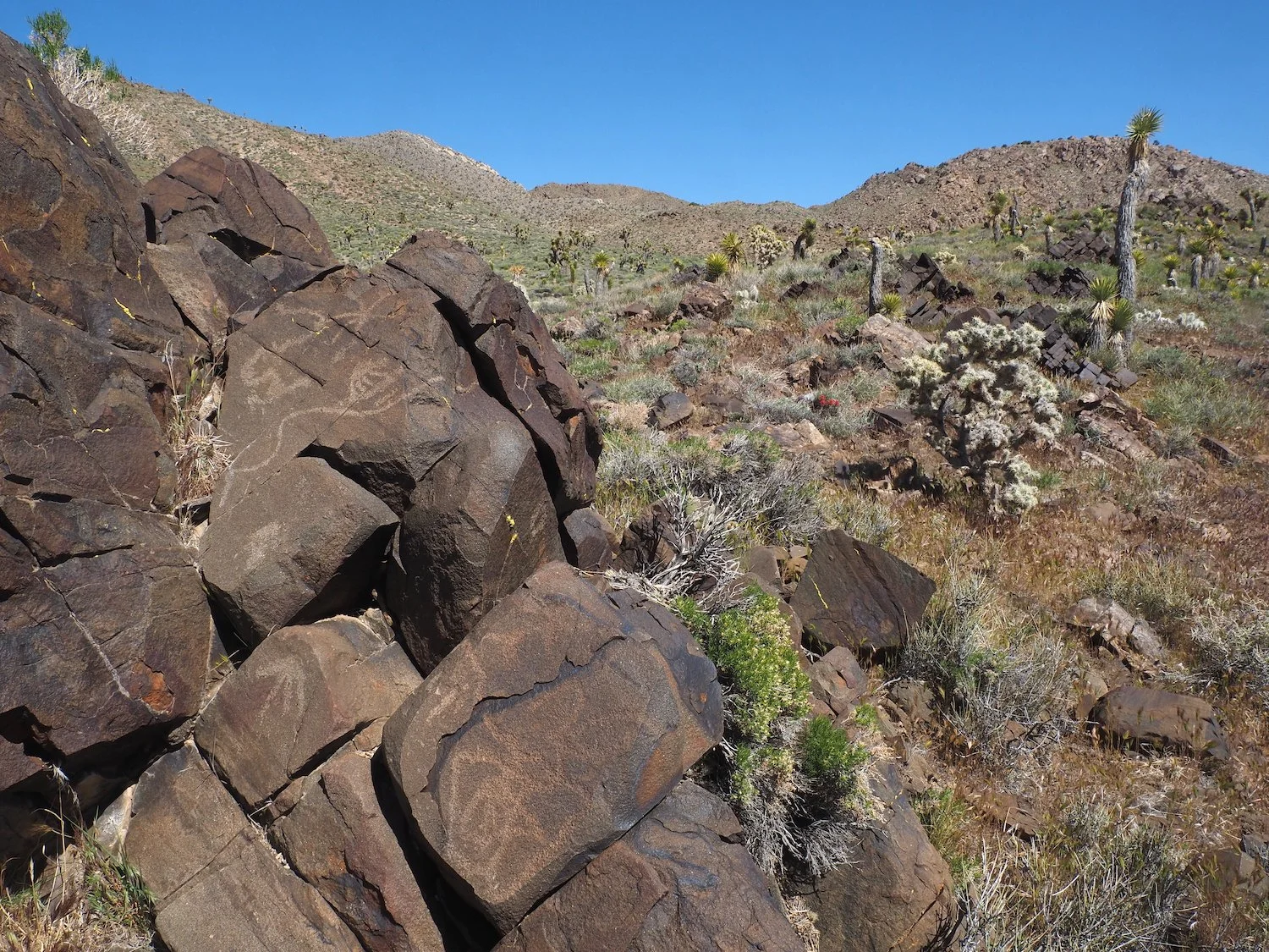 Mmca 00010.JPG