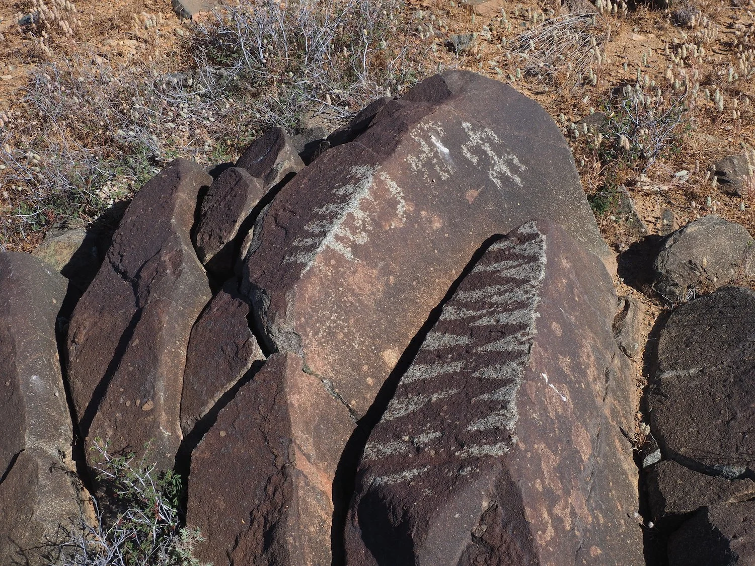 P4030261.JPG