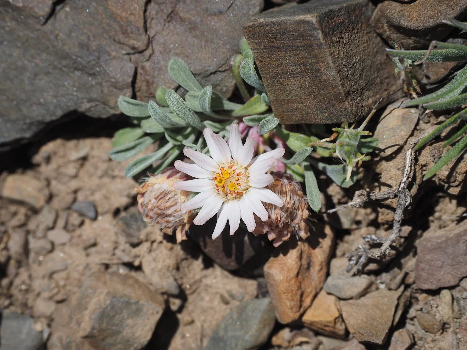 IWS 00069.JPG
