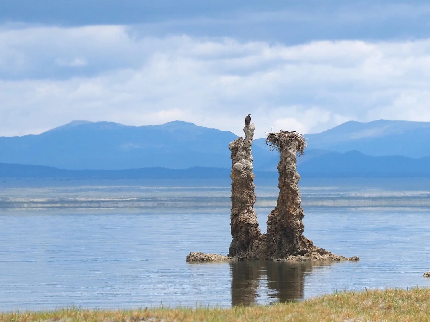 Osprey nesting pair / above a lake without fish / fish from other lakes