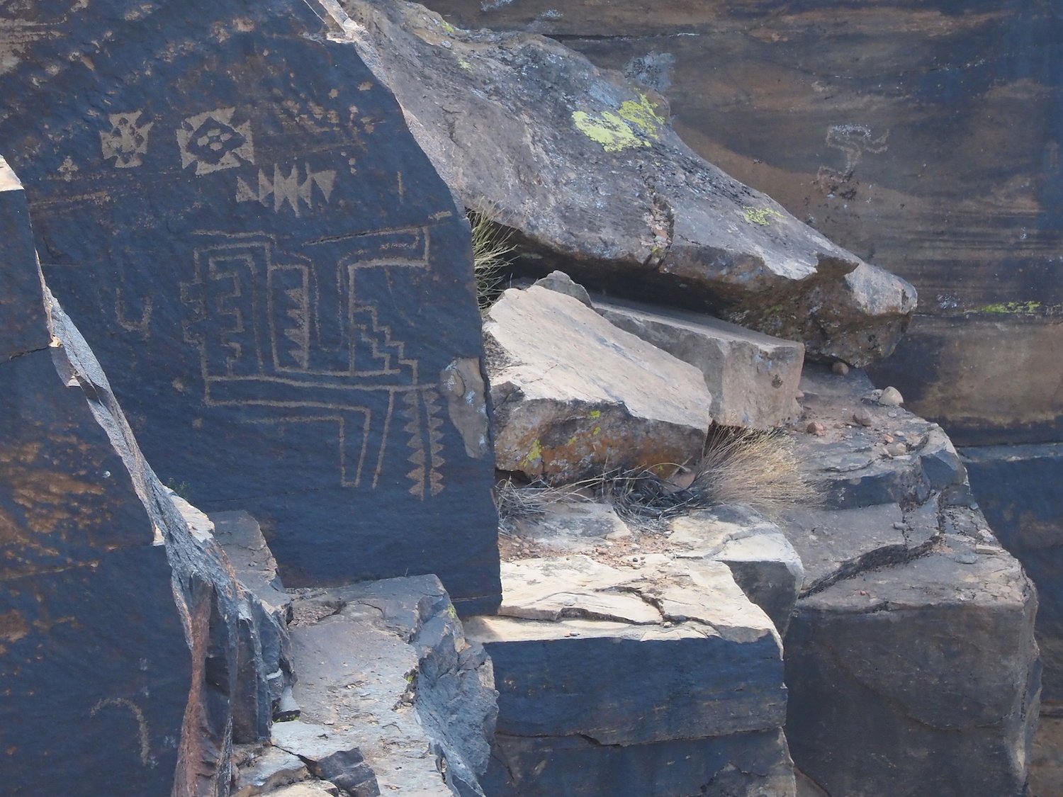 Swu 00214.JPG