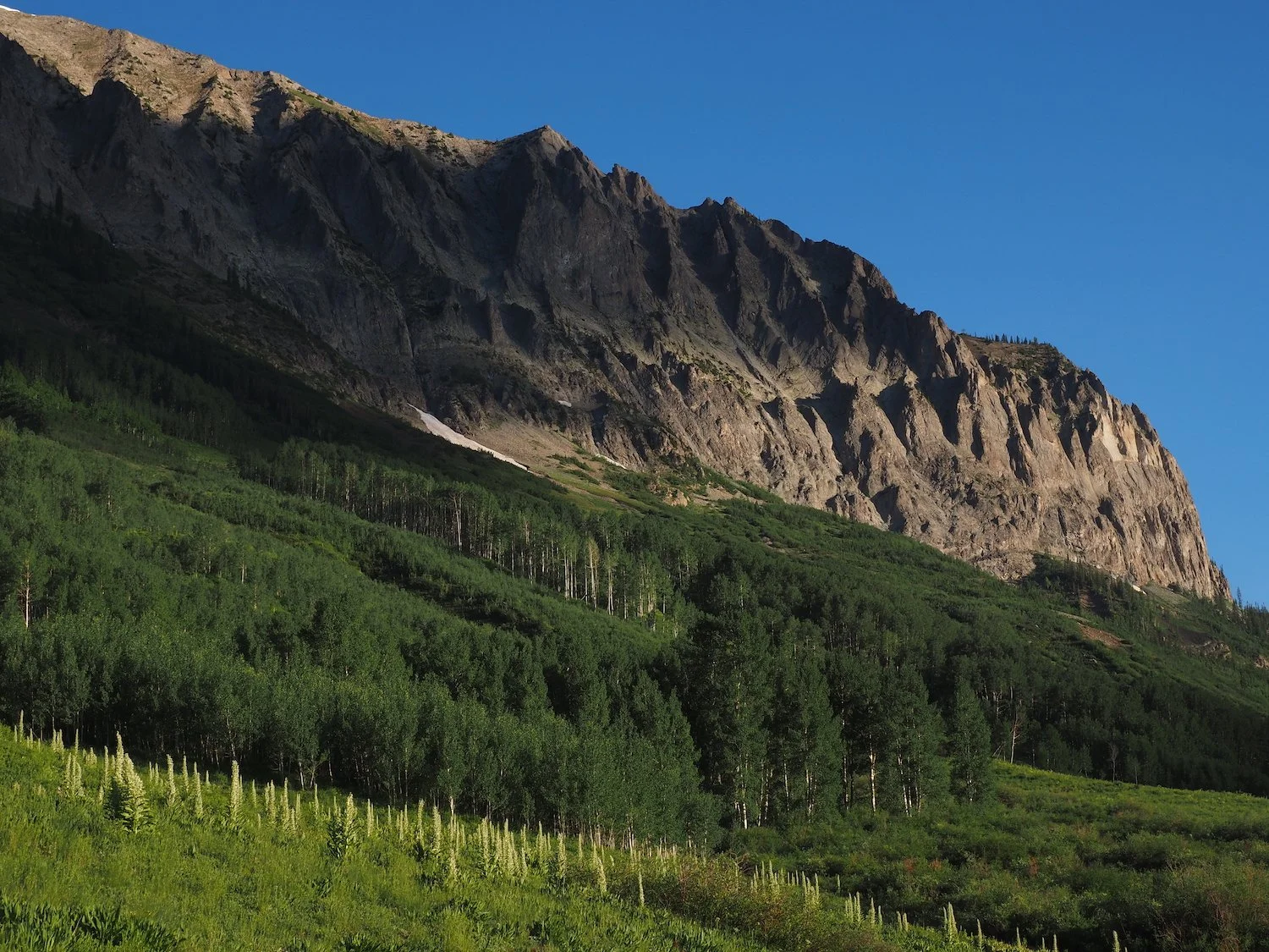 Gothic Mountain view / Crested Butte point of interest / bought a latte here