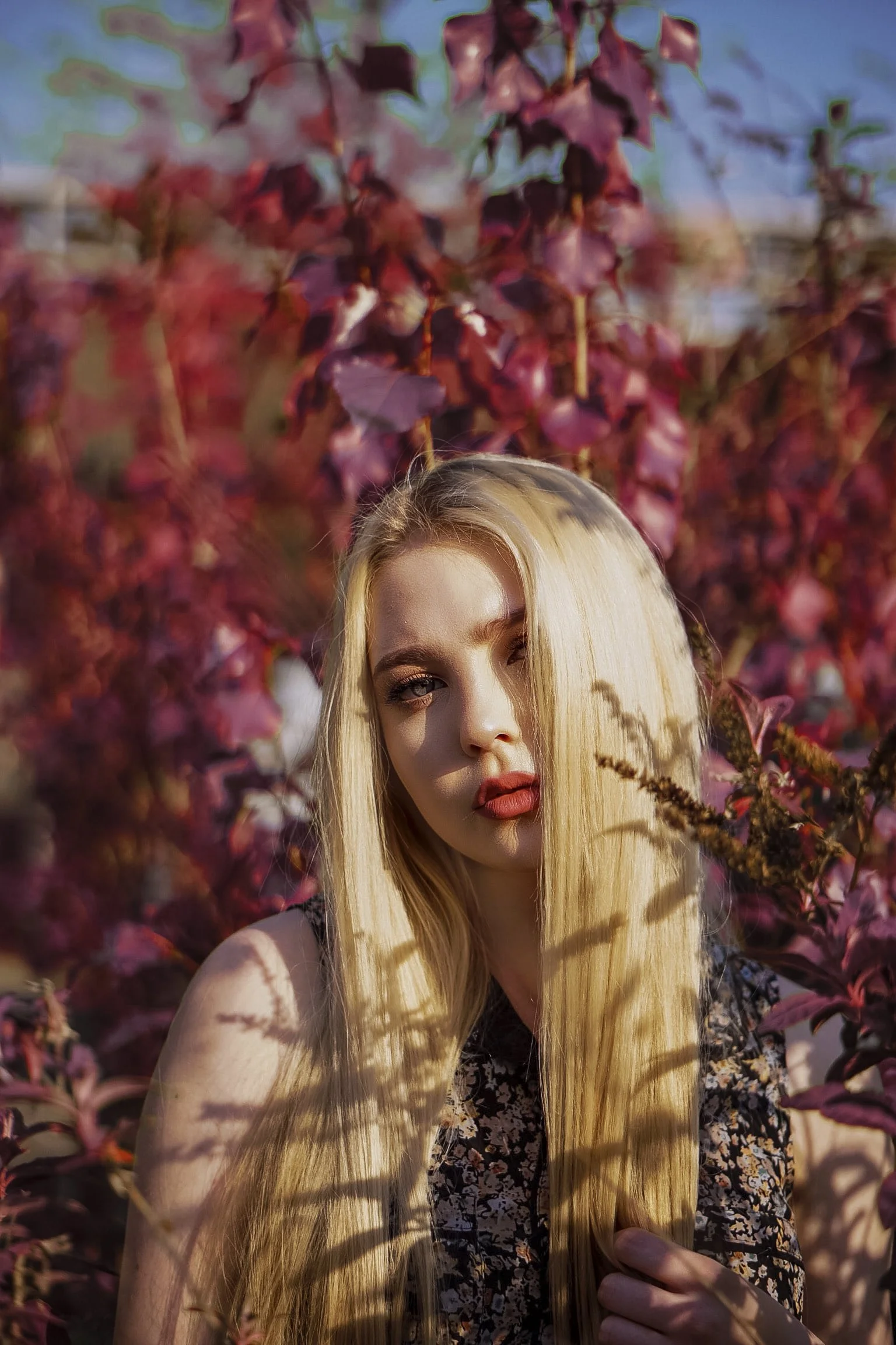 Kodak Aerochrome — The Impossible Color of Conflict