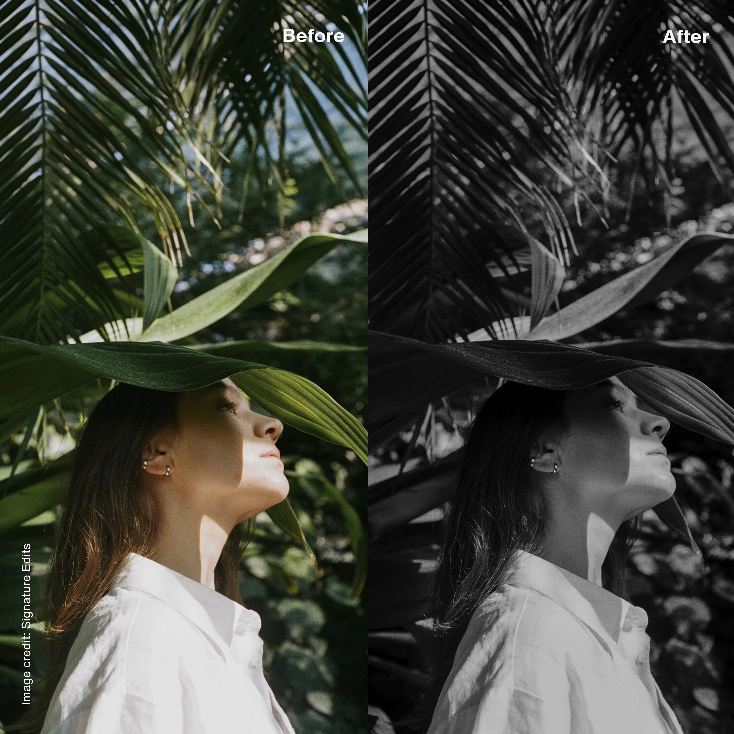 Kvadrat mall kopiera.jpg