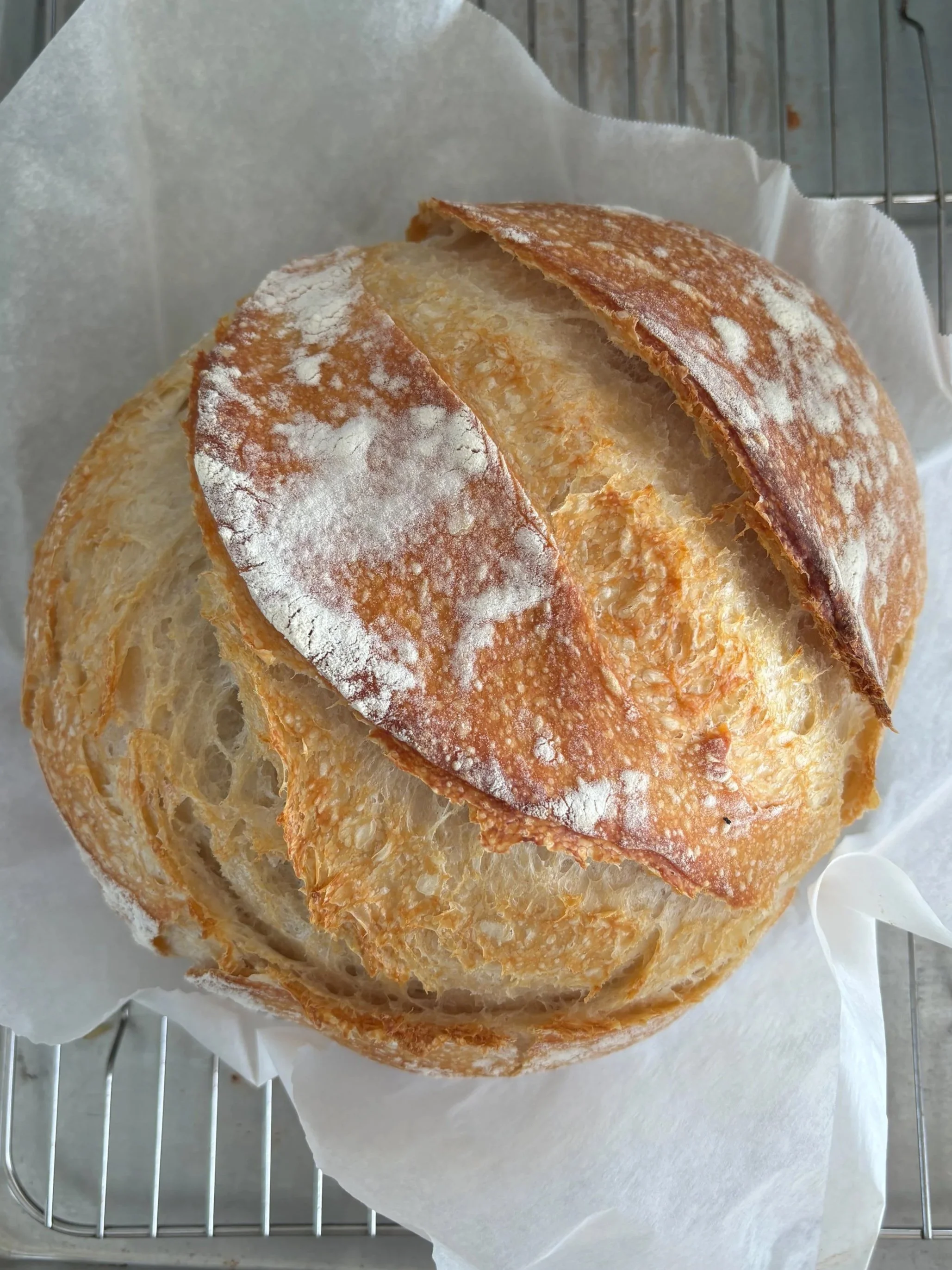 Sourdough+round+loaf.jpg