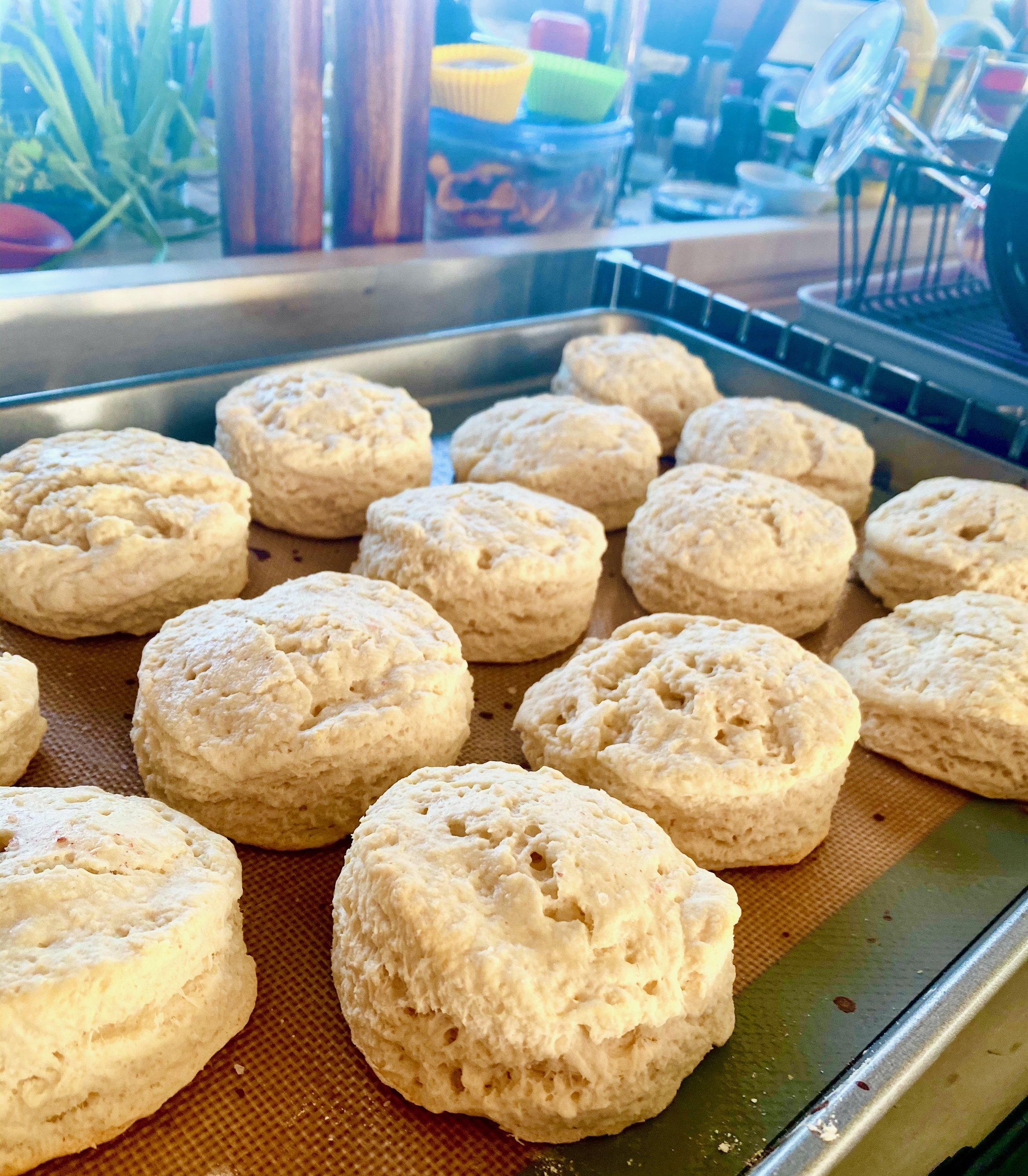 Biscuits baking.jpeg